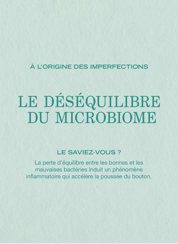 Pâte Grise - Solution points noirs by PAYOT Pâte Grise - Solution points noirs No color