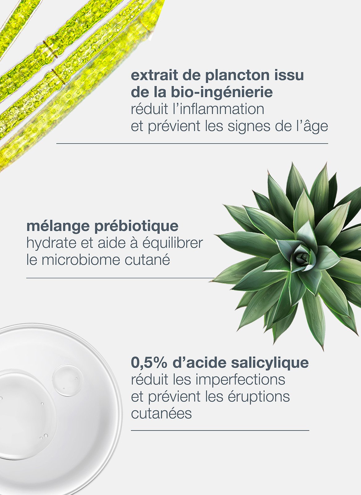 Breakout biotic moisturizer DERMALOGICA No color