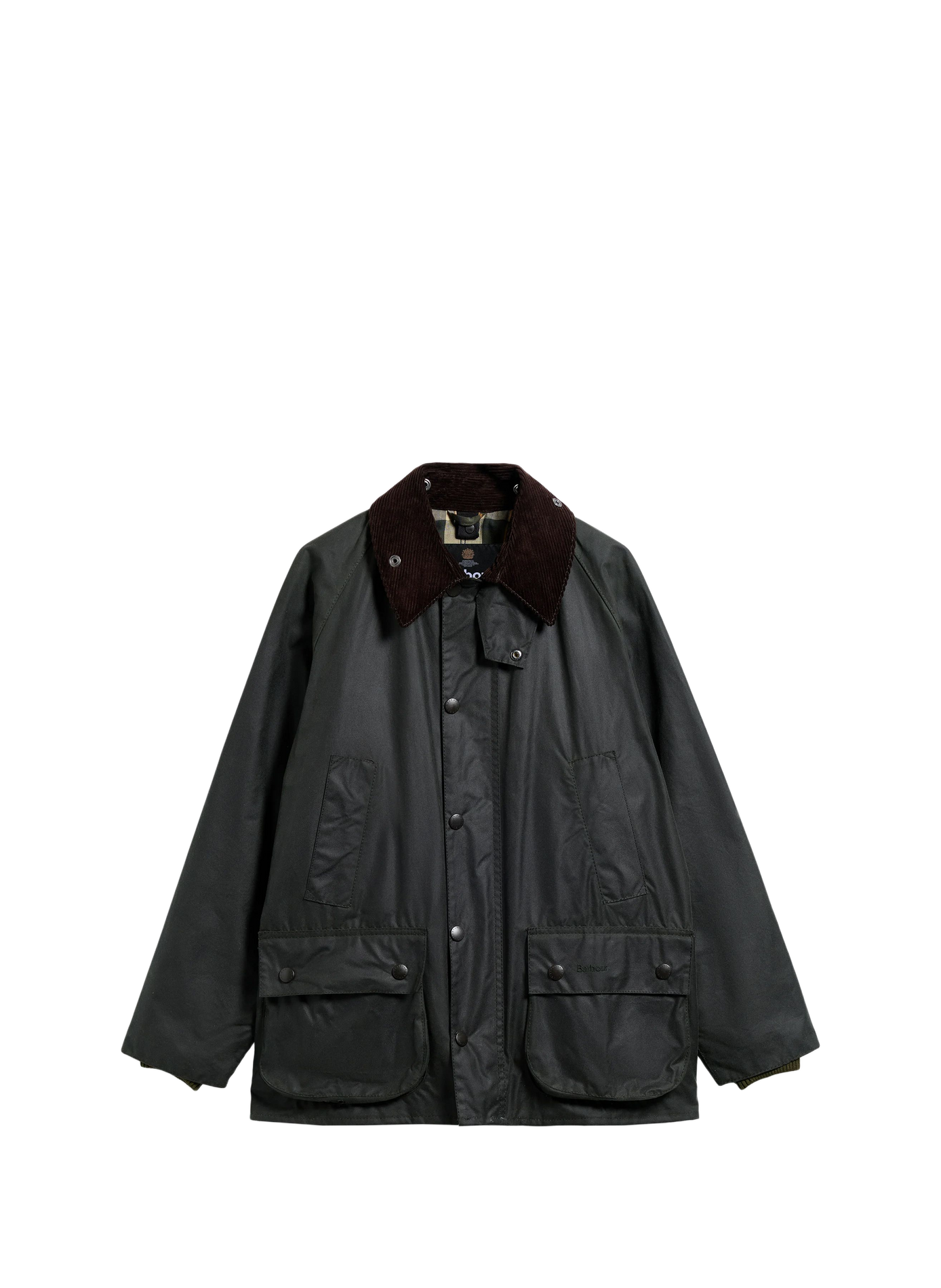 Blouson col classique en coton BARBOUR Vert