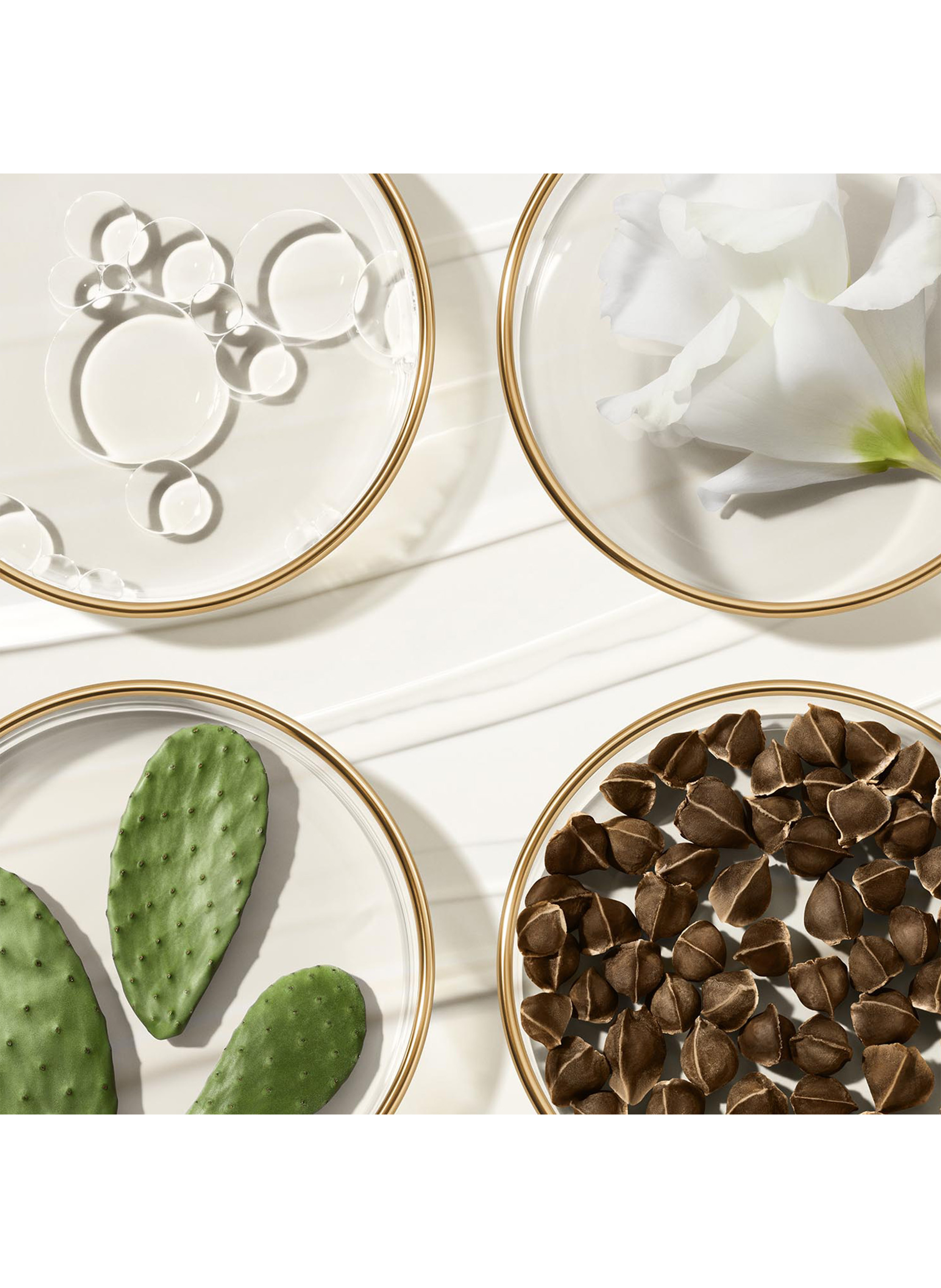 Revitalizing Supreme+ Crème délicate révélatrice de jeunesse - 50ml ESTÉE LAUDER No color