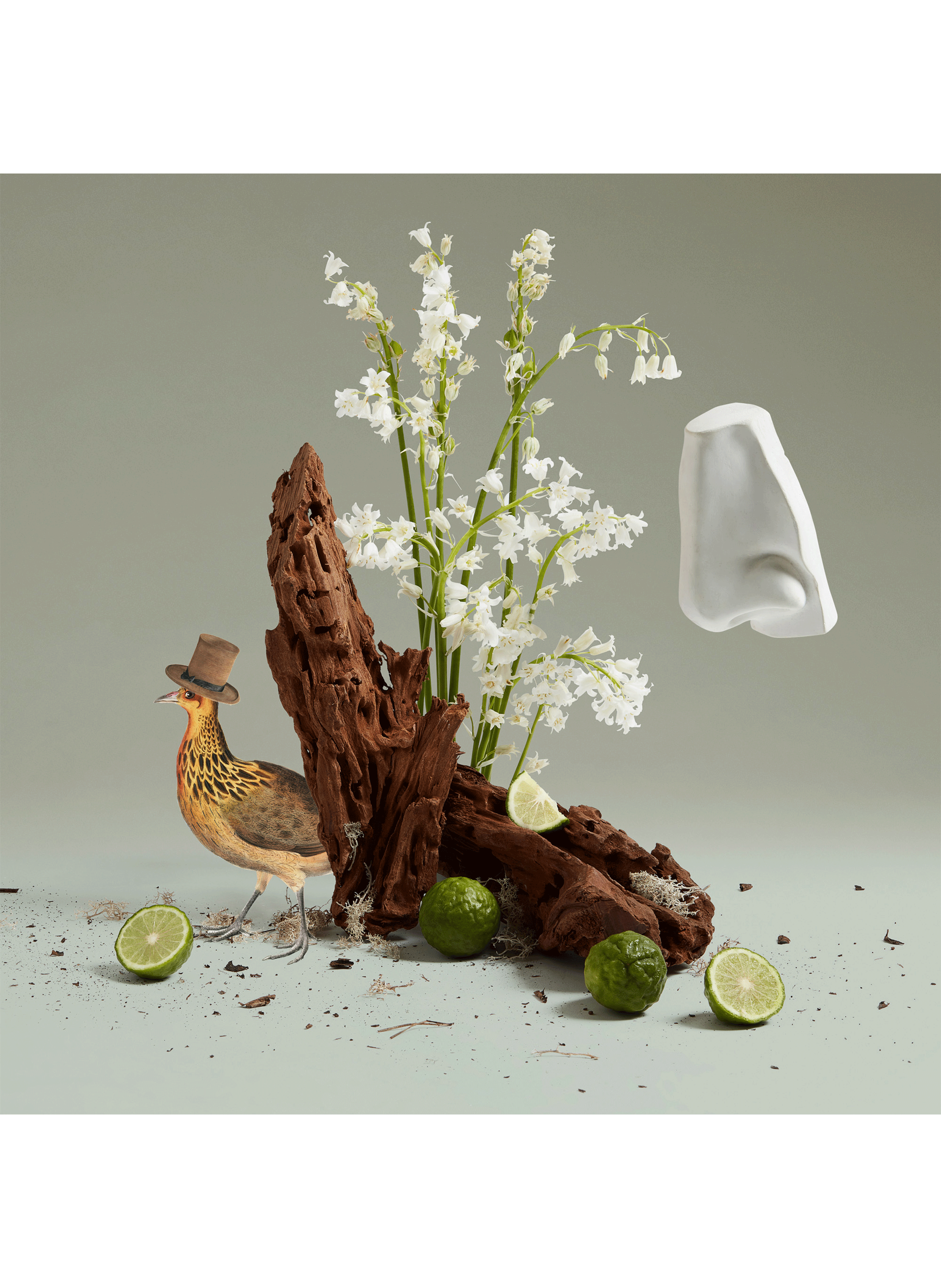 Lily of the Valley eau de toilette PENHALIGON&#039;S No color