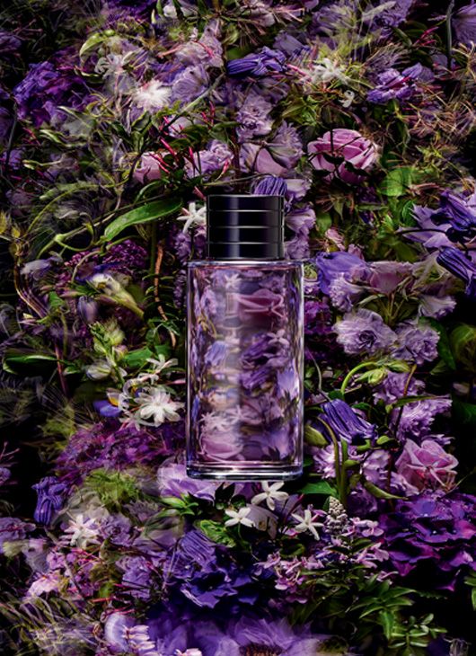 dior parfums gris fleurs, azuma makoto