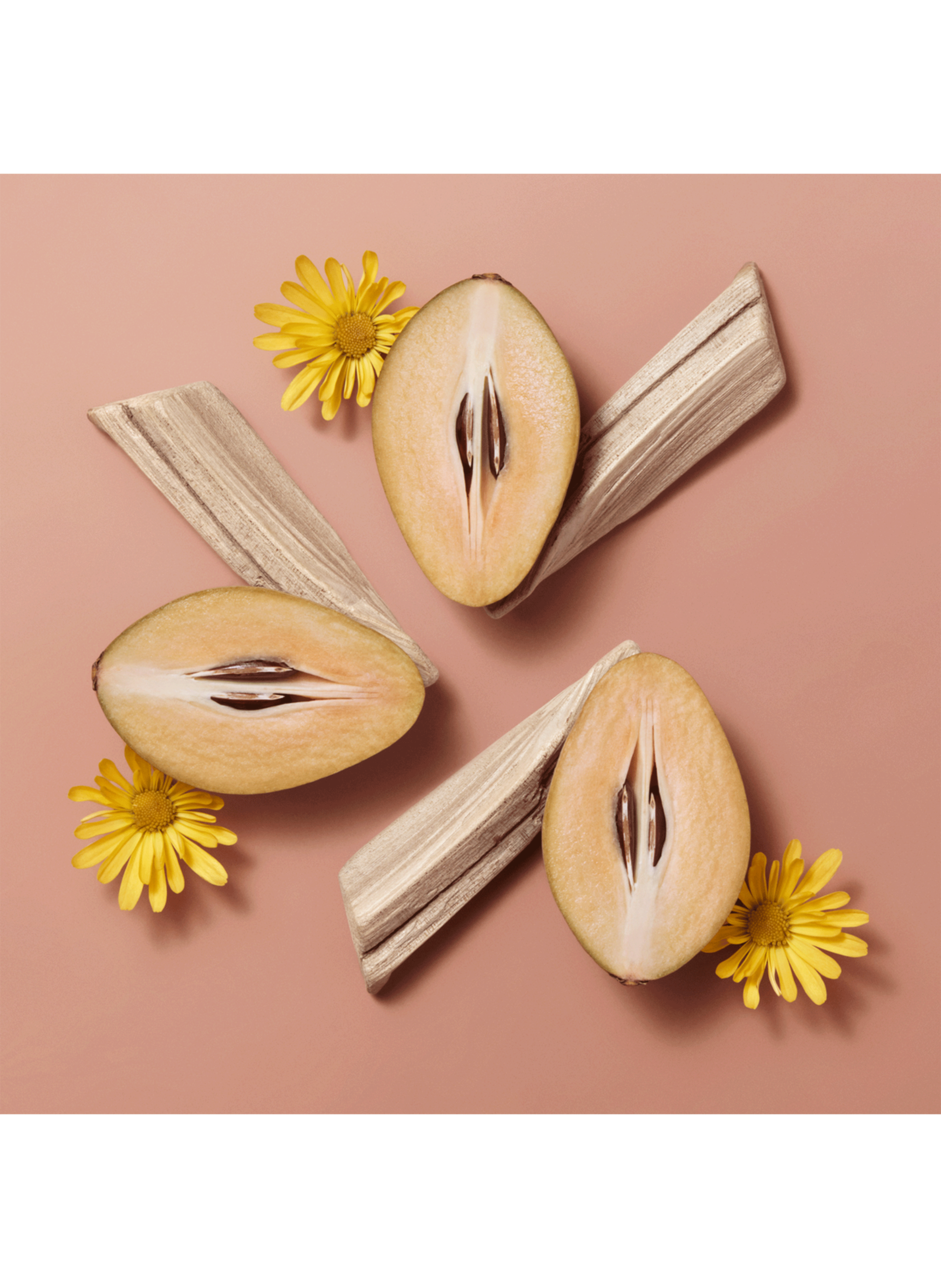 Hermèsistible infused lip care oil HERMÈS Beige sapotille