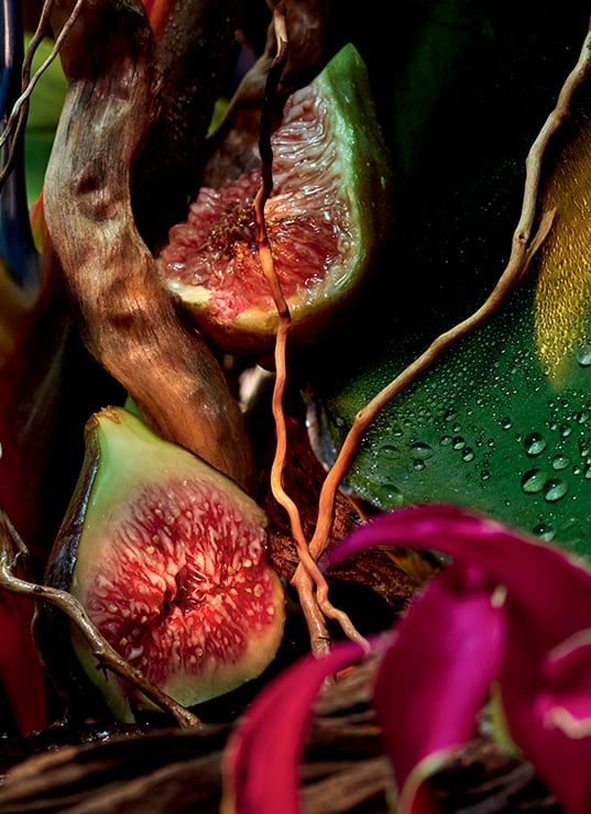 nouveau parfum Guerlain 2025, Vétiver Fauve Guerlain, parfum vétiver frais, parfum jungle homme femme, flacon vert Guerlain