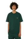CARHARTT WIP Discovery Green / Gold Green