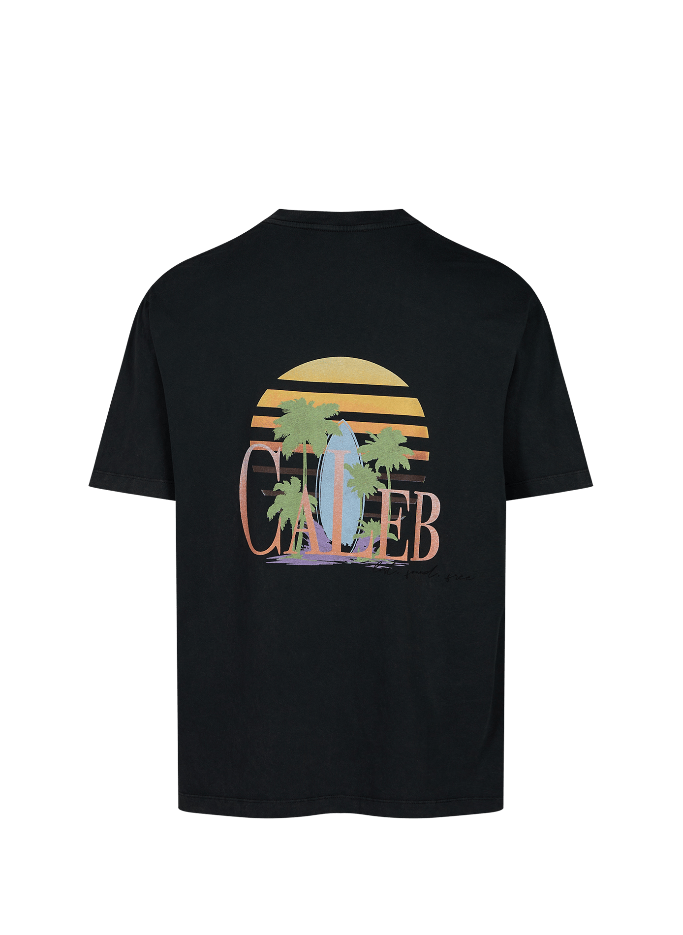 T-shirt imprimé à col rond en coton CALEB Gris