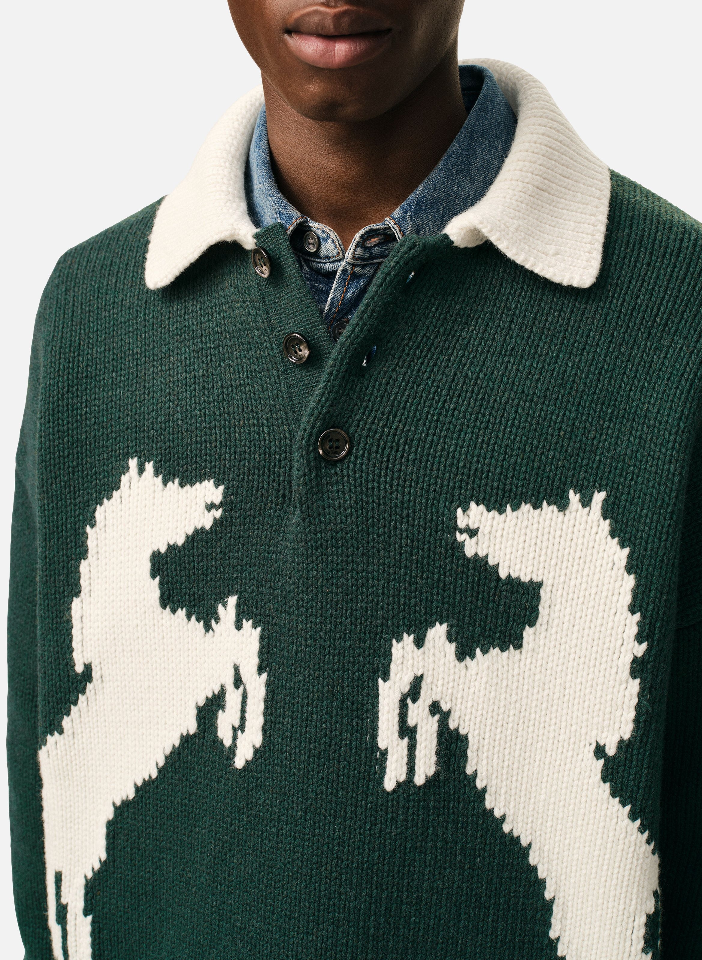 Polo chevaux unisexe en laine AMI PARIS Vert