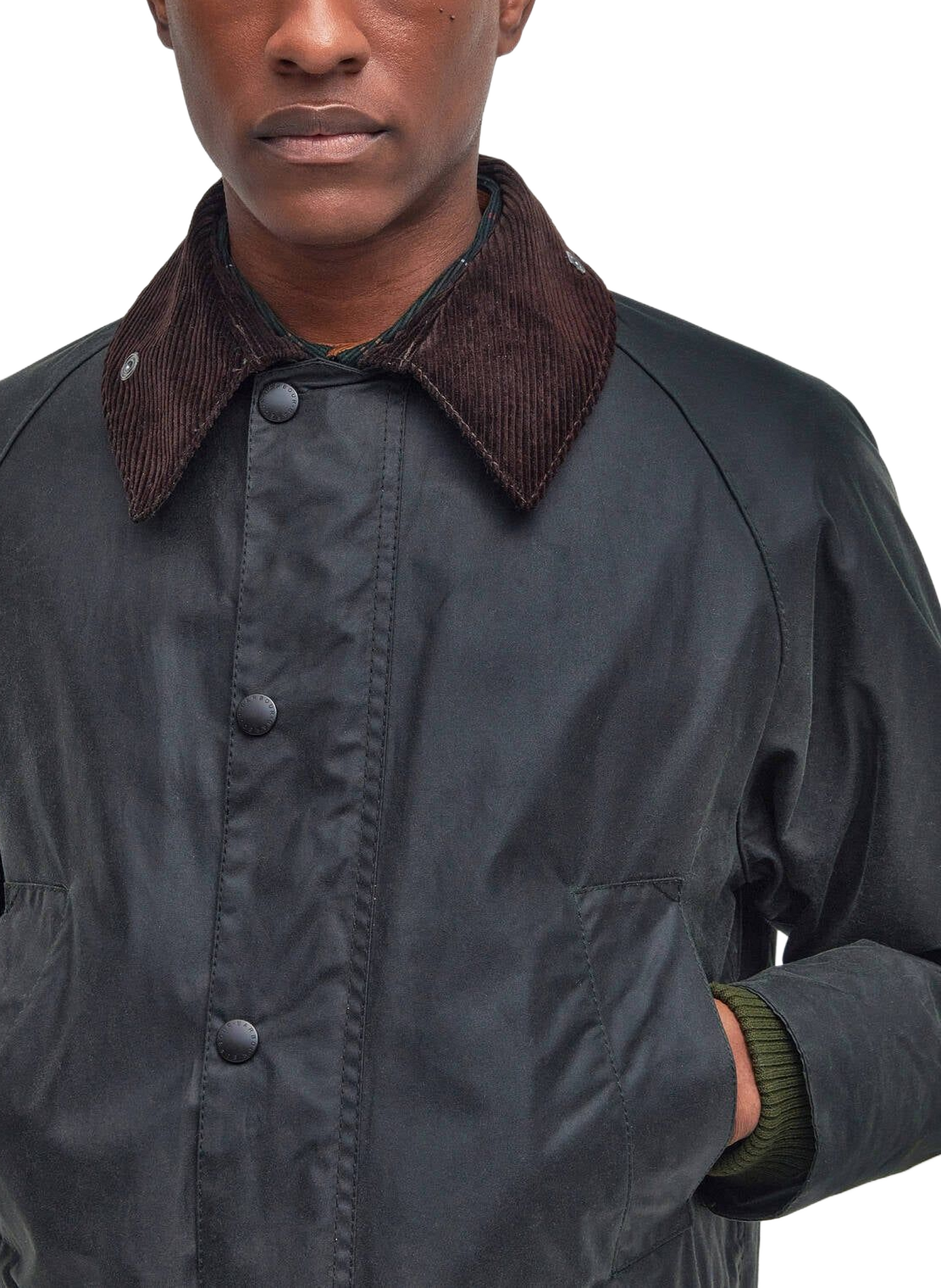 Blouson col classique en coton BARBOUR Vert