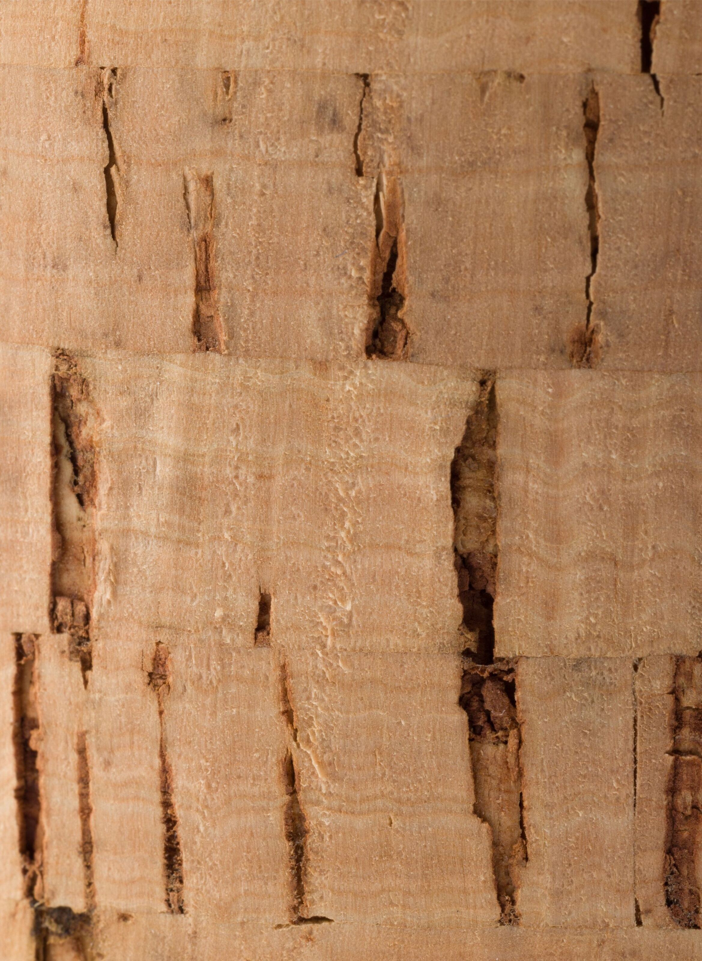 Sandales à plateforme en crochet PRADA Beige