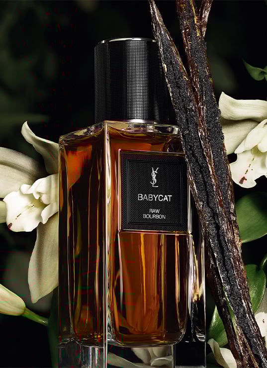 parfums Yves Saint Laurent 2025, collection privée YSL parfums, parfum Muse YSL, parfum Babycat YSL, parfum Tuxedo YSL