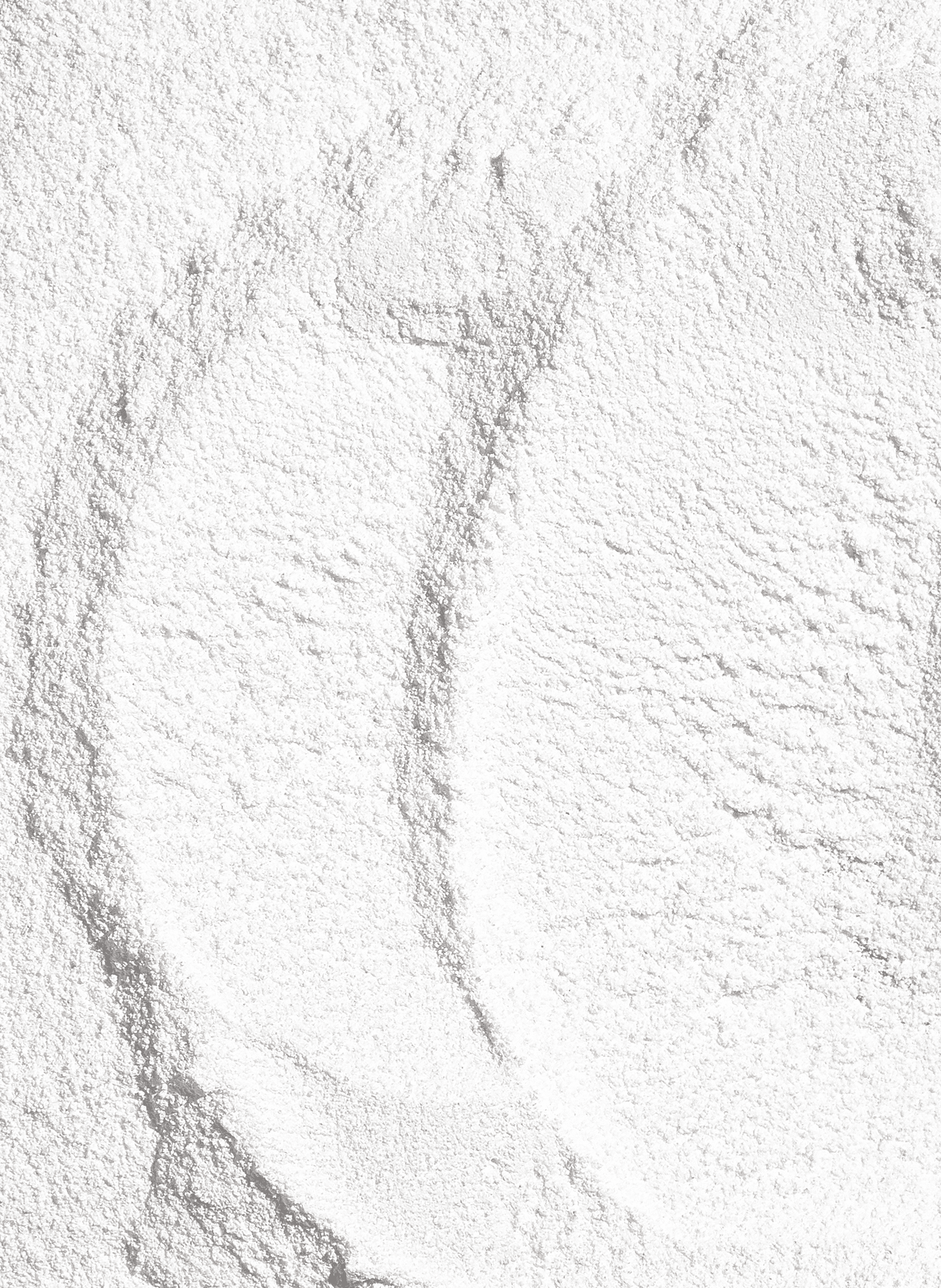 Exfoliant doux quotidien microfoliant DERMALOGICA No color