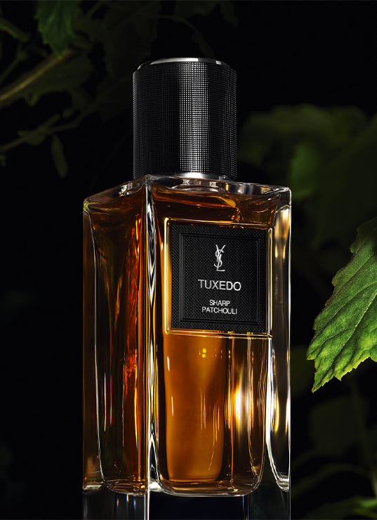 parfums Yves Saint Laurent 2025, collection privée YSL parfums, parfum Muse YSL, parfum Babycat YSL, parfum Tuxedo YSL