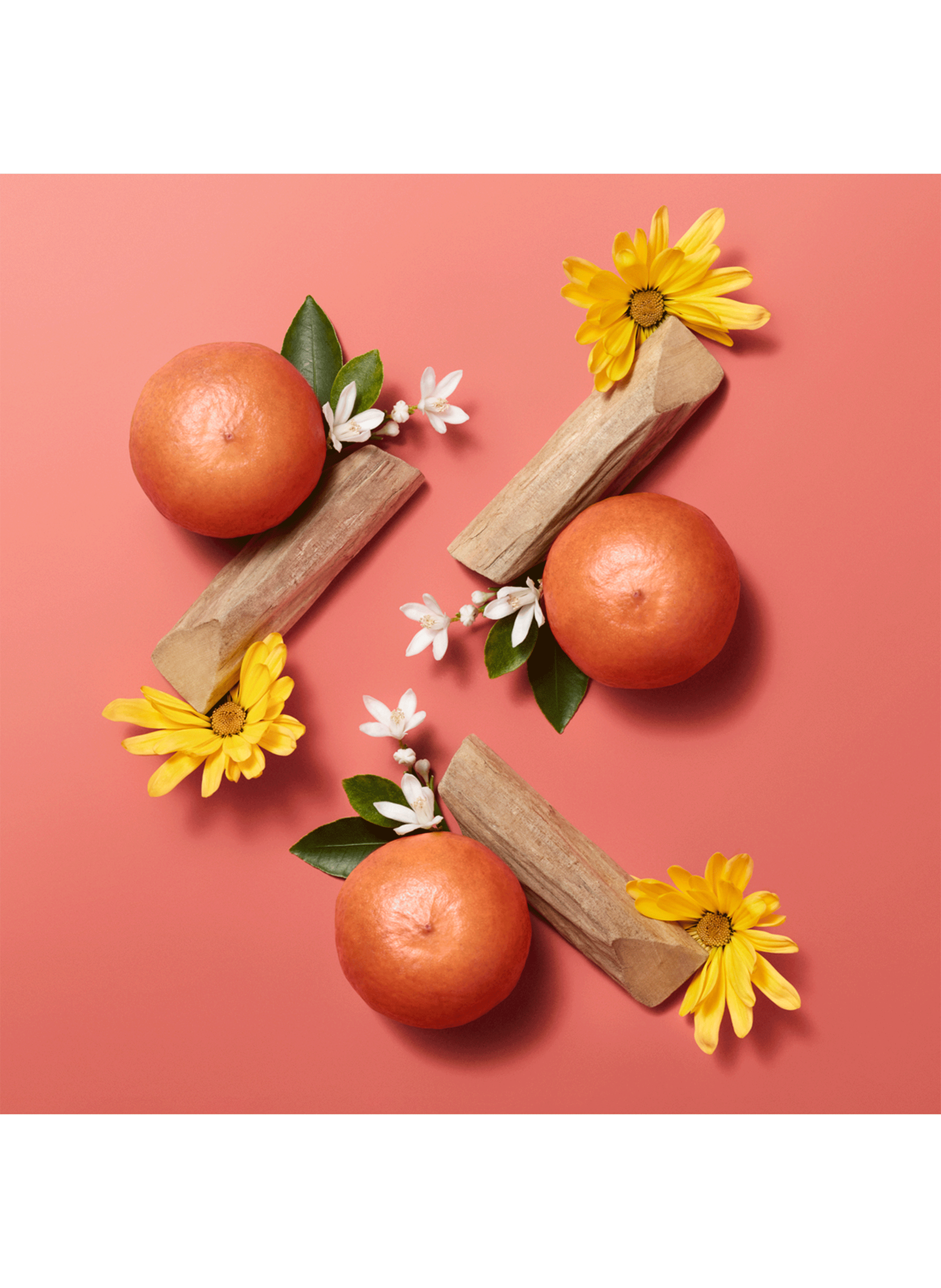 Hermèsistible, Huile de soin infusée Corail bigarade