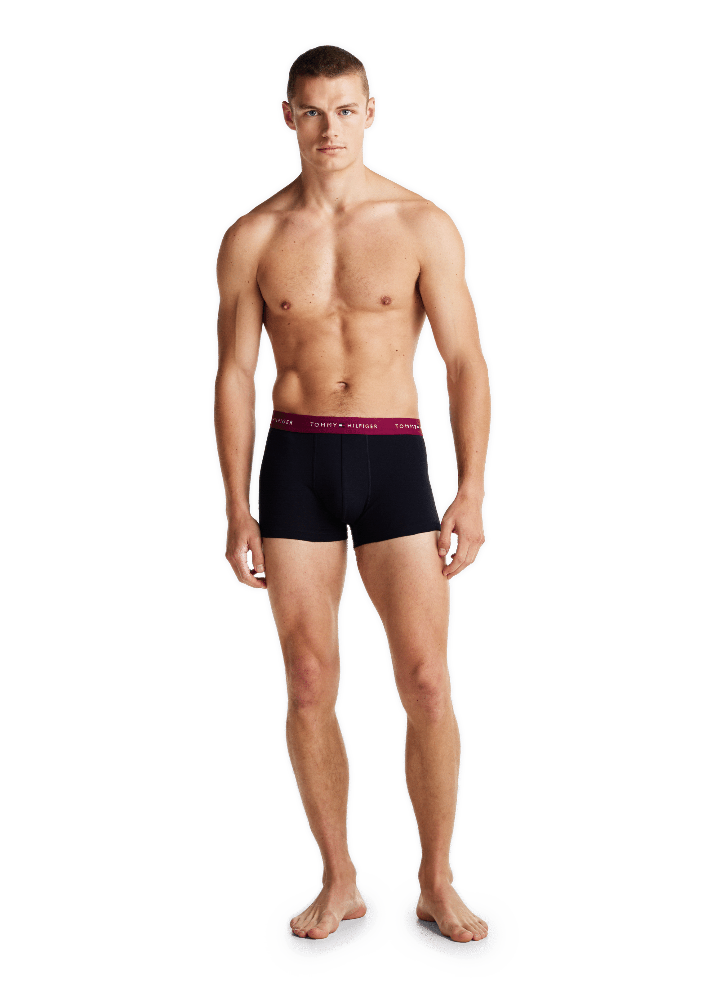 Lot de 5 boxers TOMMY HILFIGER Bleu