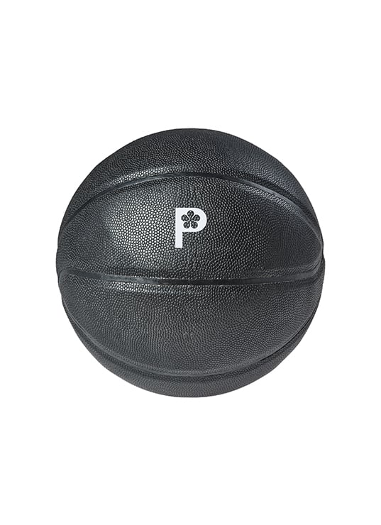 Illustration Printemps Icône de Paris depuis 160 ans