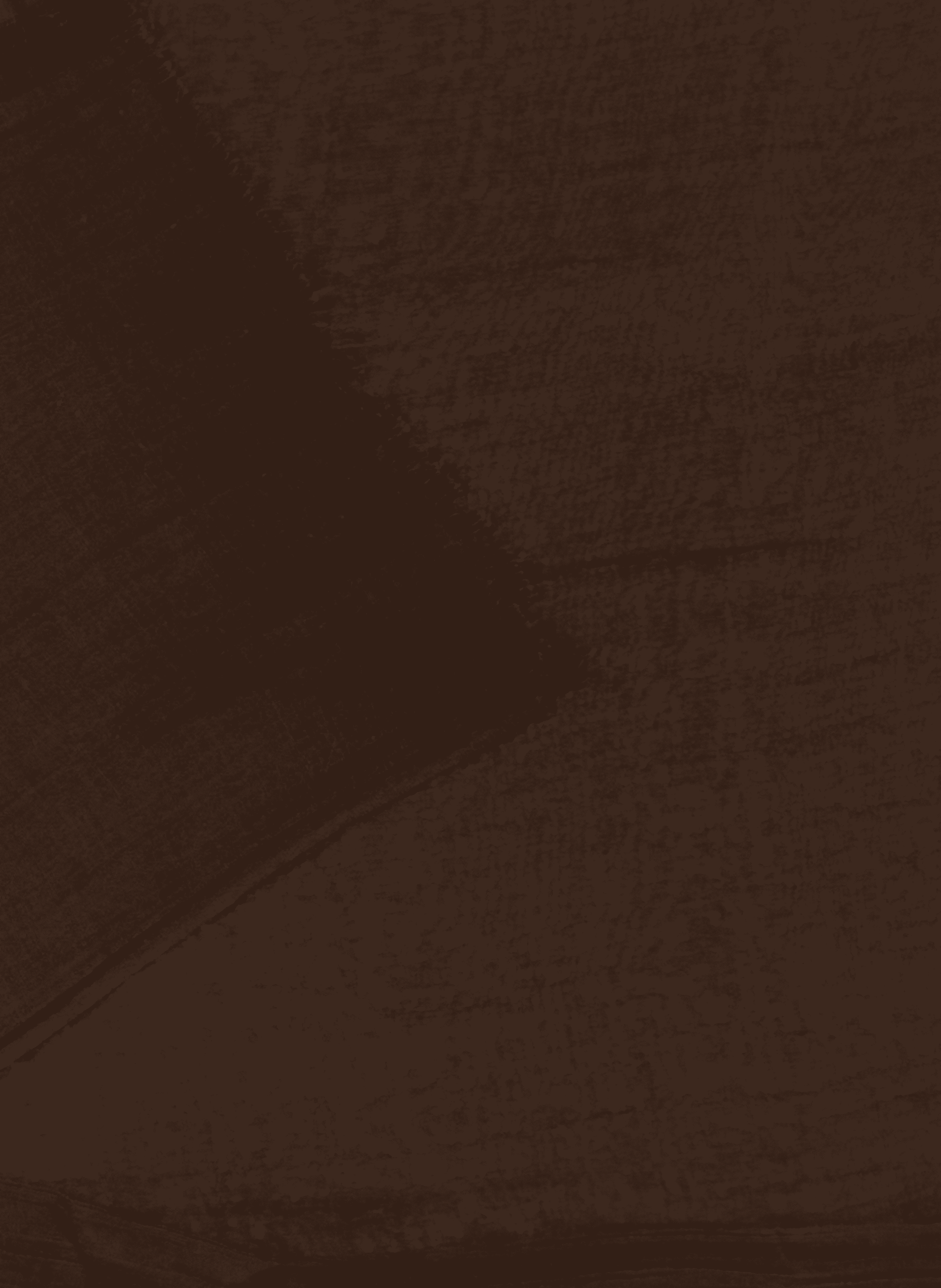 Etole unie à bords effilés AU PRINTEMPS PARIS Marron