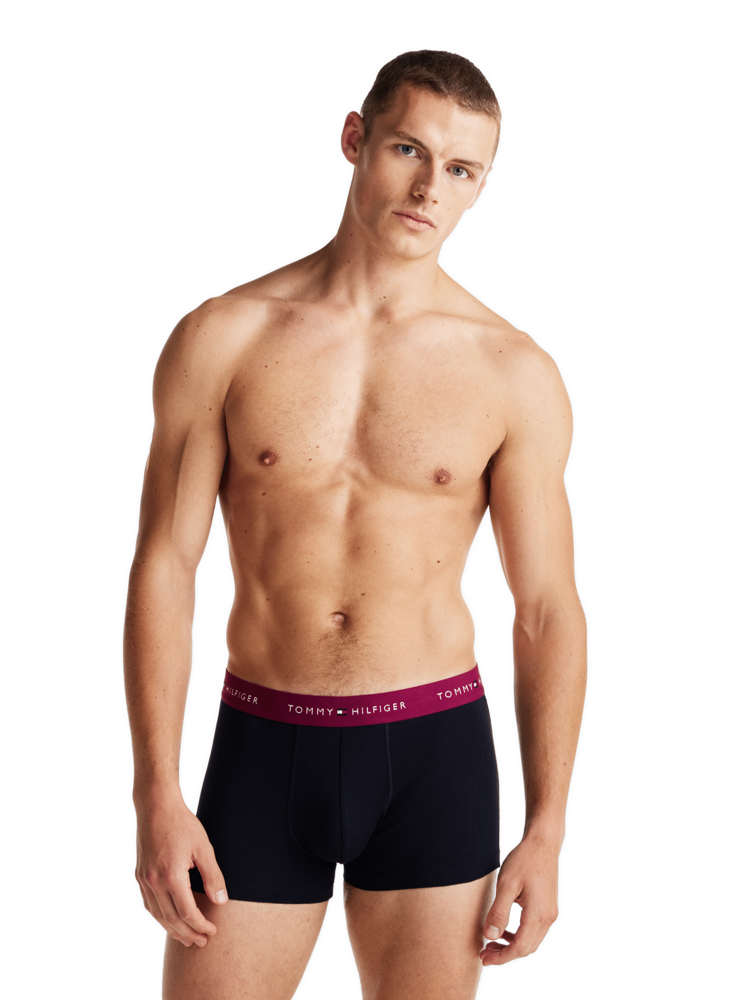 Lot de 5 boxers TOMMY HILFIGER Bleu