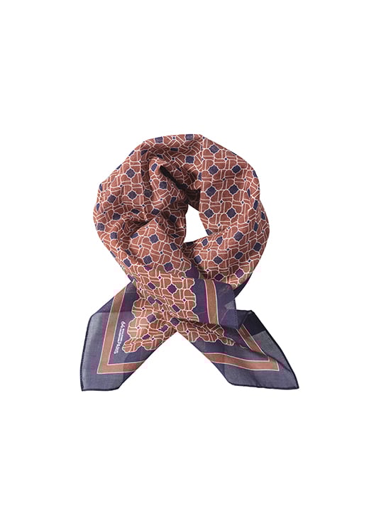 Illustration Printemps Icône de Paris depuis 160 ans