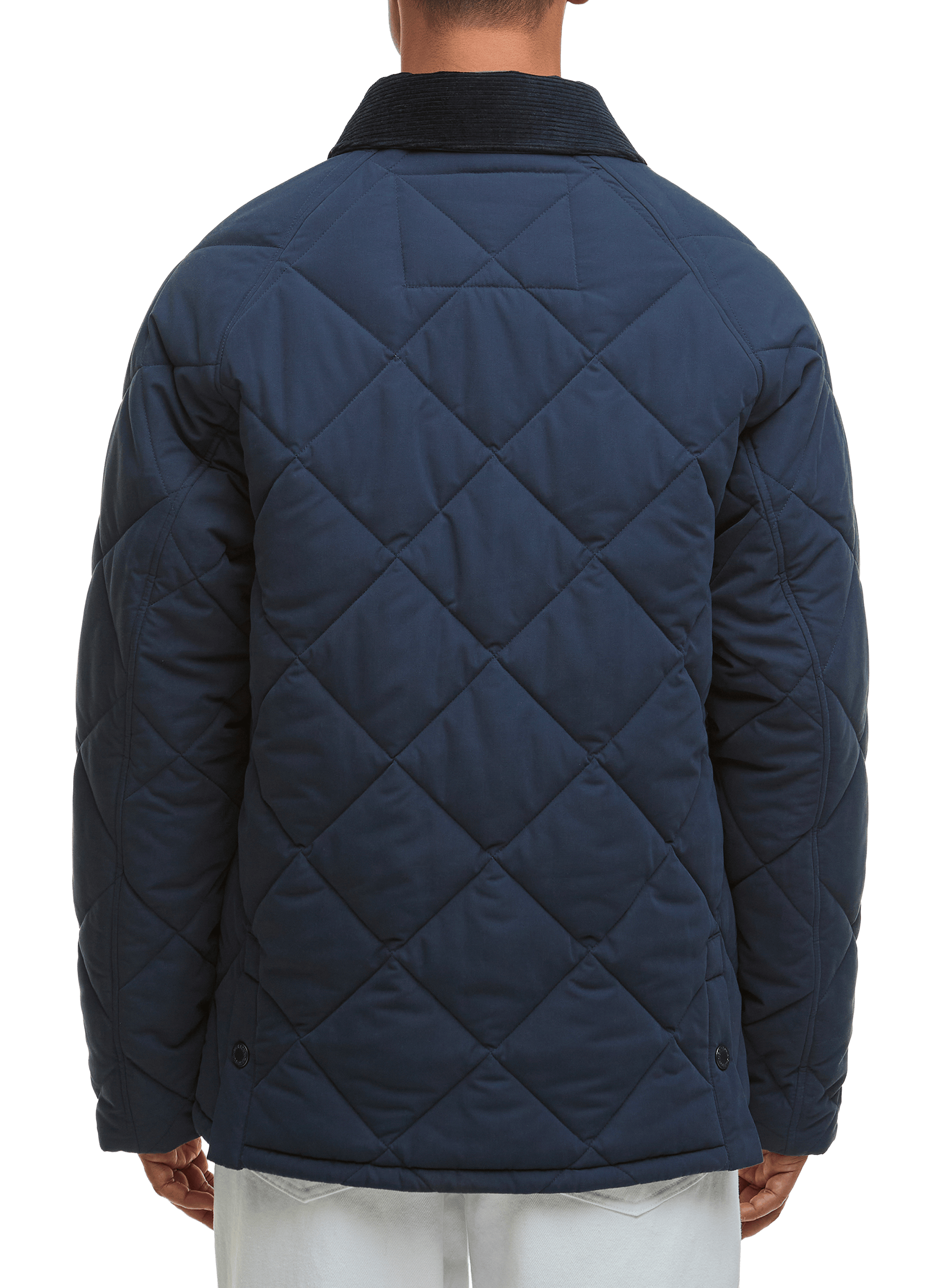 Veste matelassée en coton BARBOUR Bleu