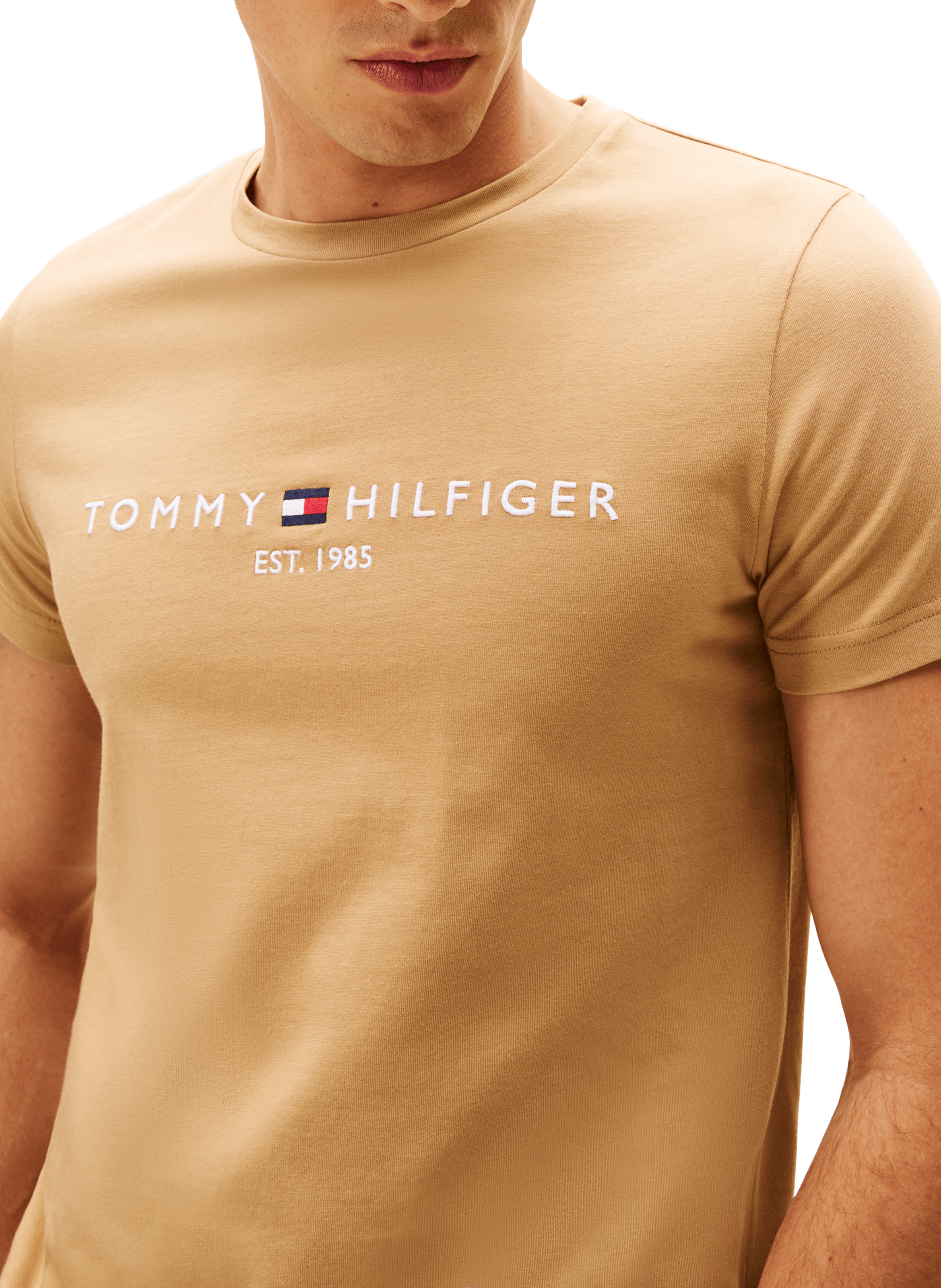 Classic Cotton T-Shirt TOMMY HILFIGER Brown