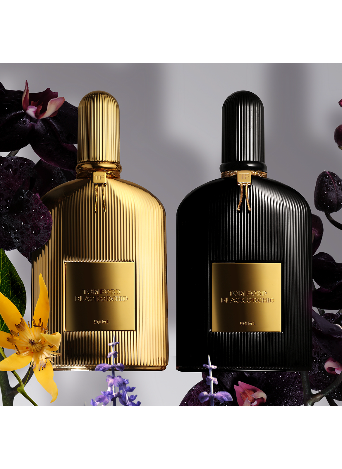 Eau de parfum - Black Orchid TOM FORD No color