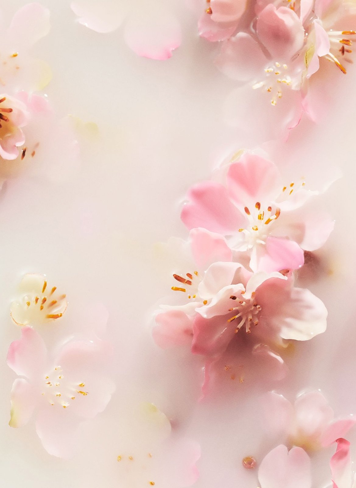 The Ritual of Sakura - Scented reeds refill RITUALS No color