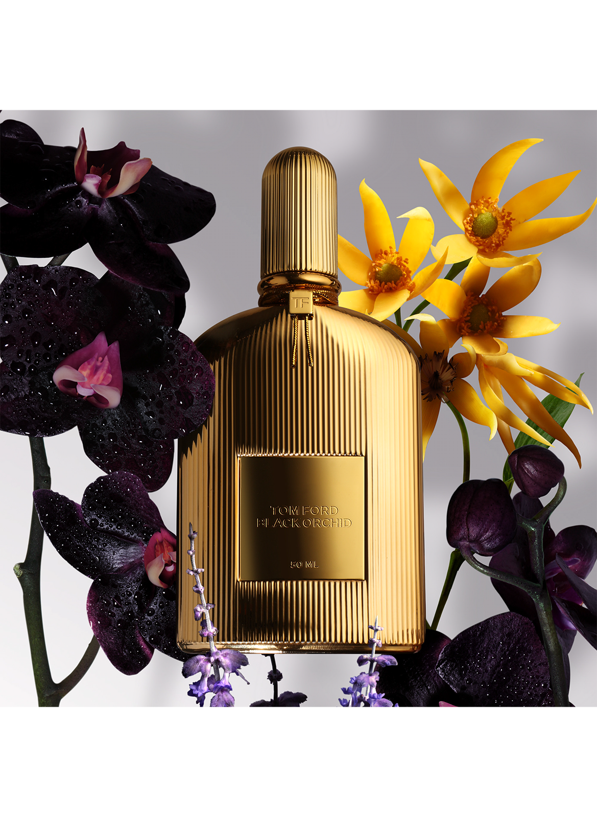 Eau de parfum - Black Orchid TOM FORD No color