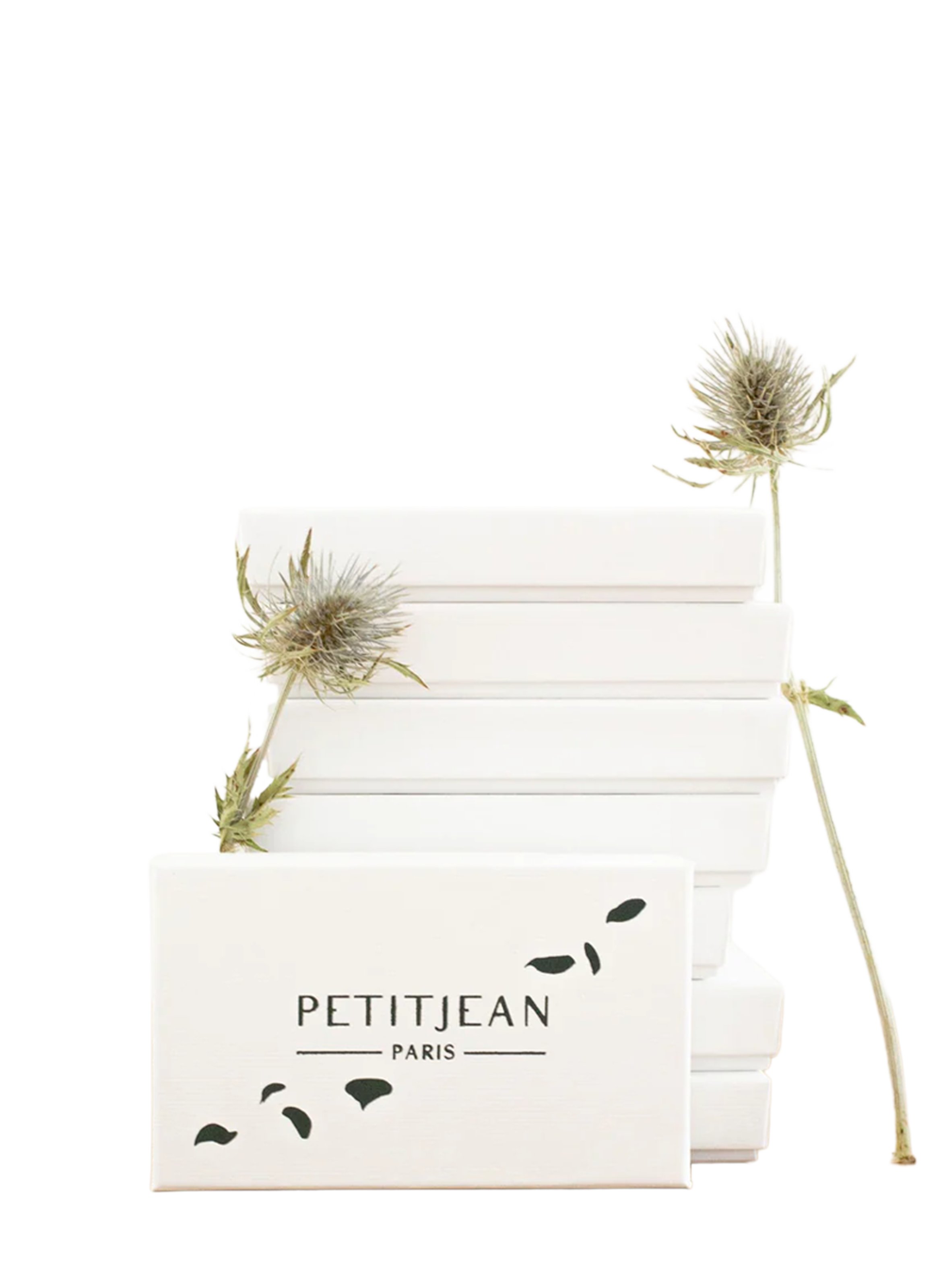 Lavalline Pas de Deux en soie PETITJEAN PARIS Multicolore