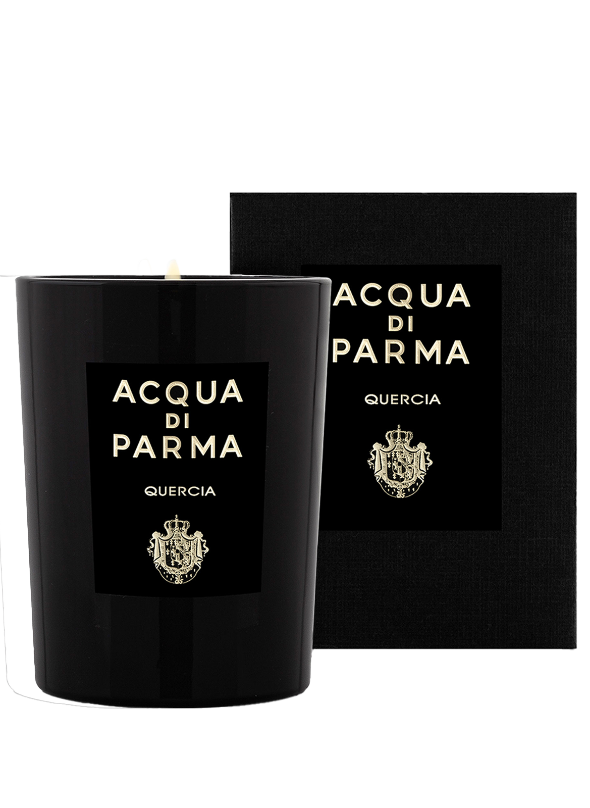 Signatures Of the Sun - Quercia - Bougie No color