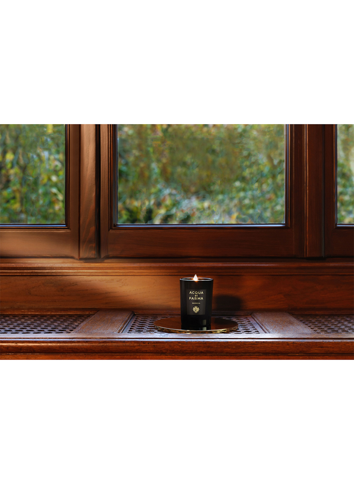 Signatures Of the Sun - Quercia - Bougie No color