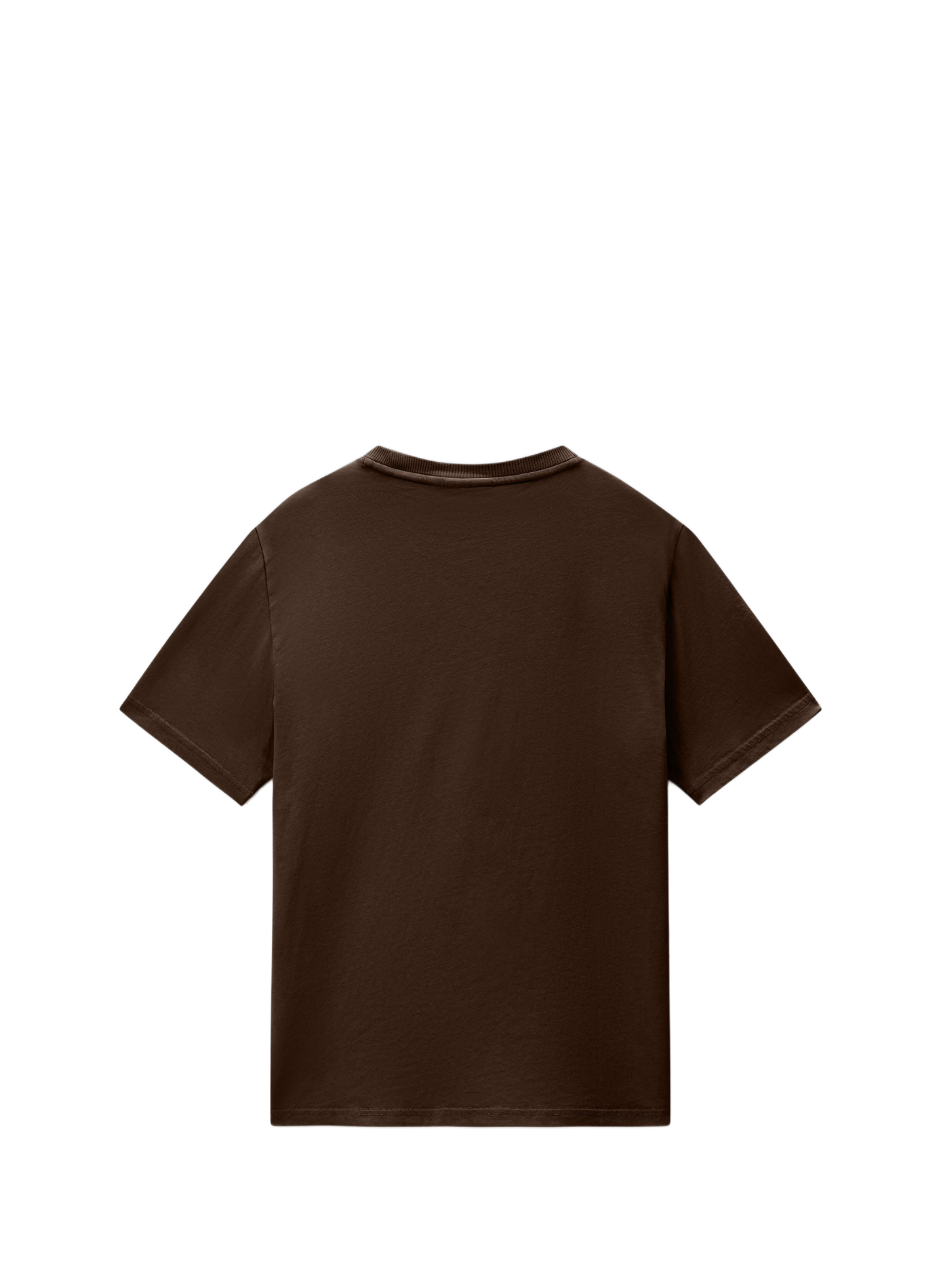 Round-neck cotton T-shirt NAPAPIJRI Brown