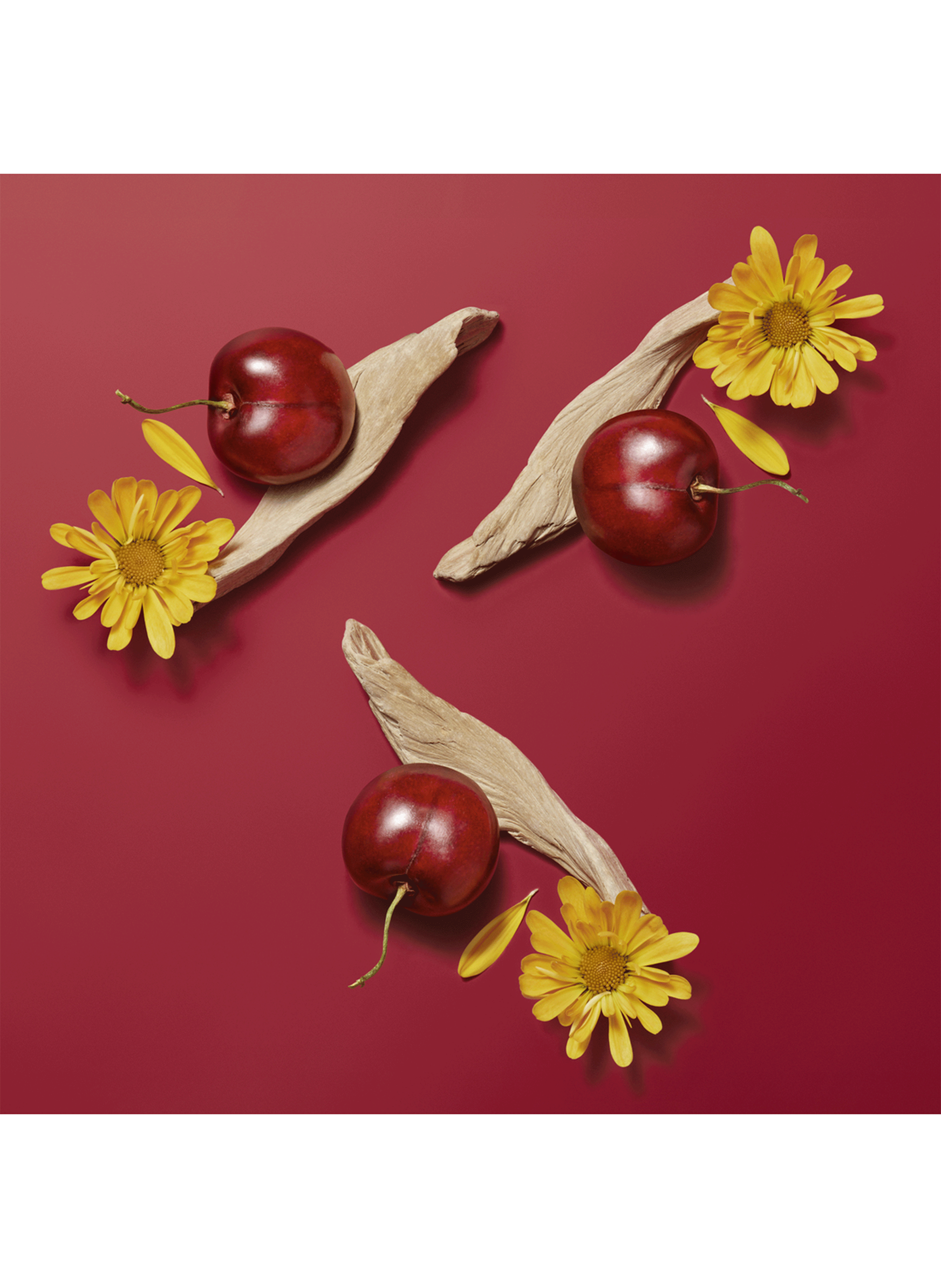 Hermèsistible infused lip care oil HERMÈS Rouge amarelle