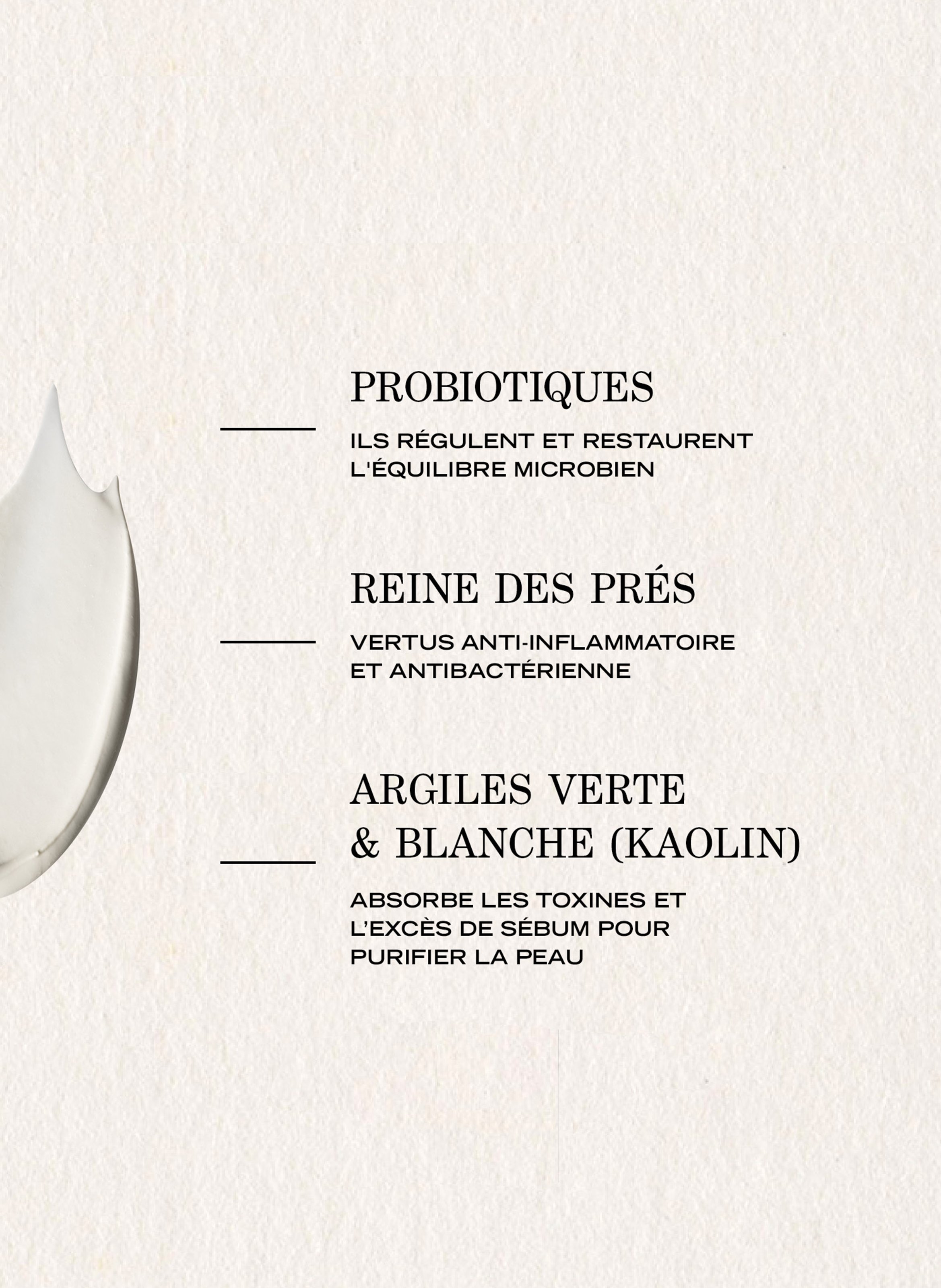 Pâte Grise - Masque Purifiant Rééquilibrant PAYOT No color