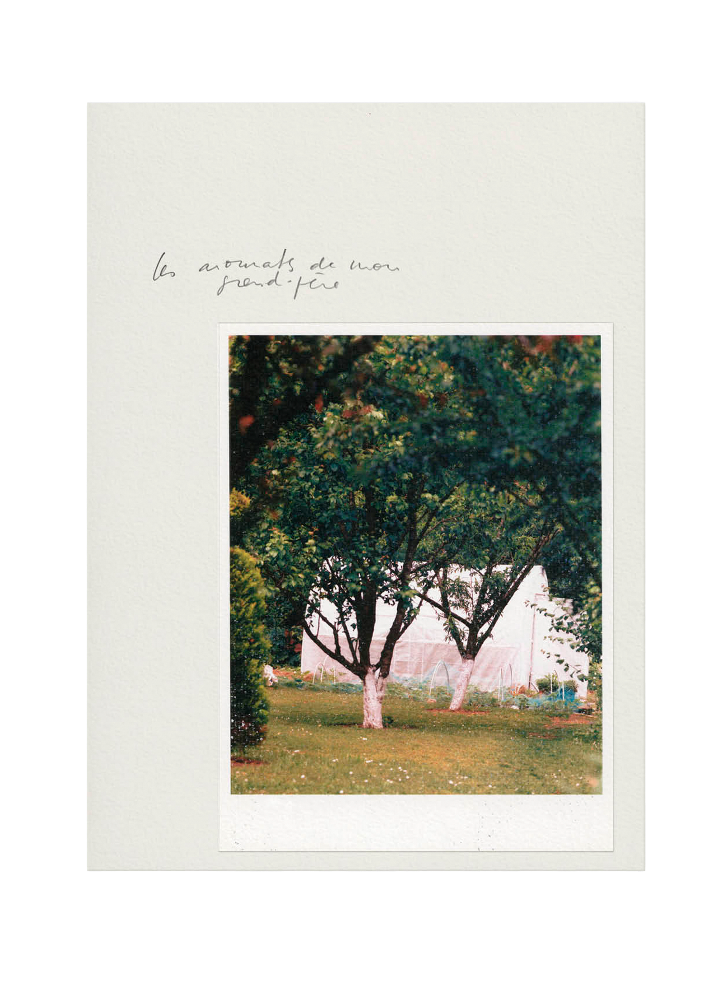 Candle refill 8m2 ORMAIE No color