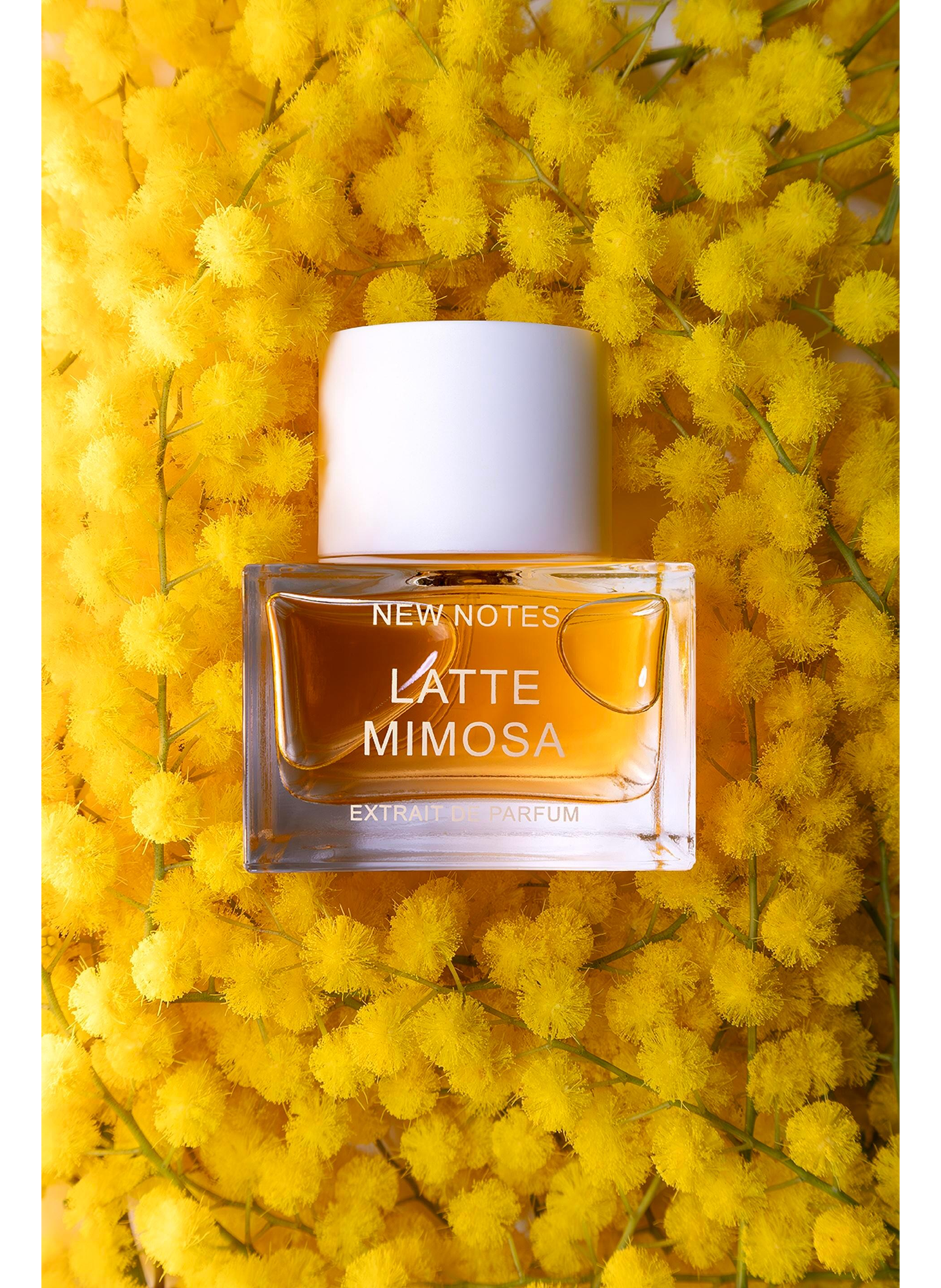 Latte Mimosa - Extrait de Parfum NEW NOTES No color