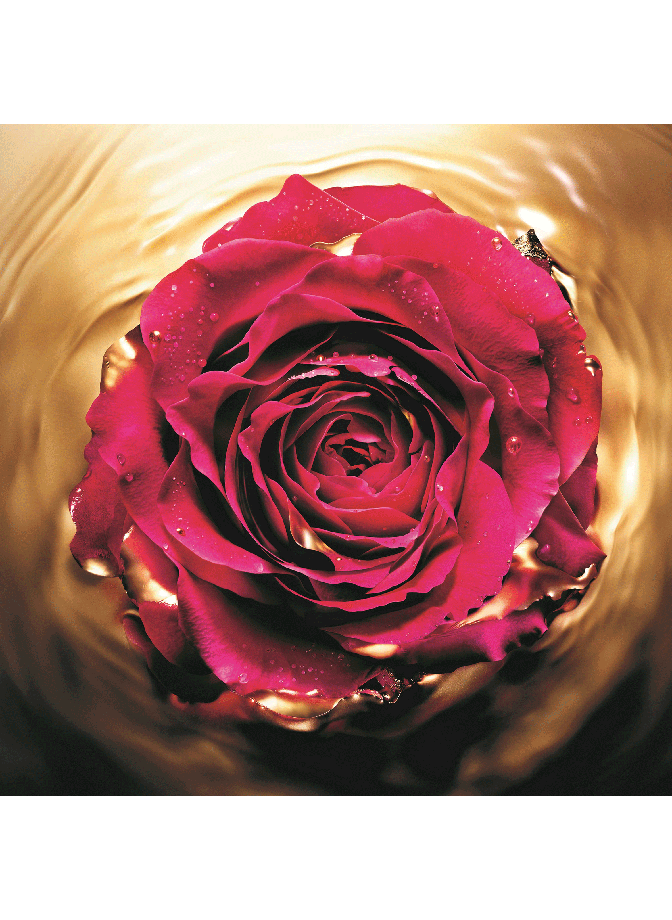 Absolue revitalising eye serum LANCÔME No color