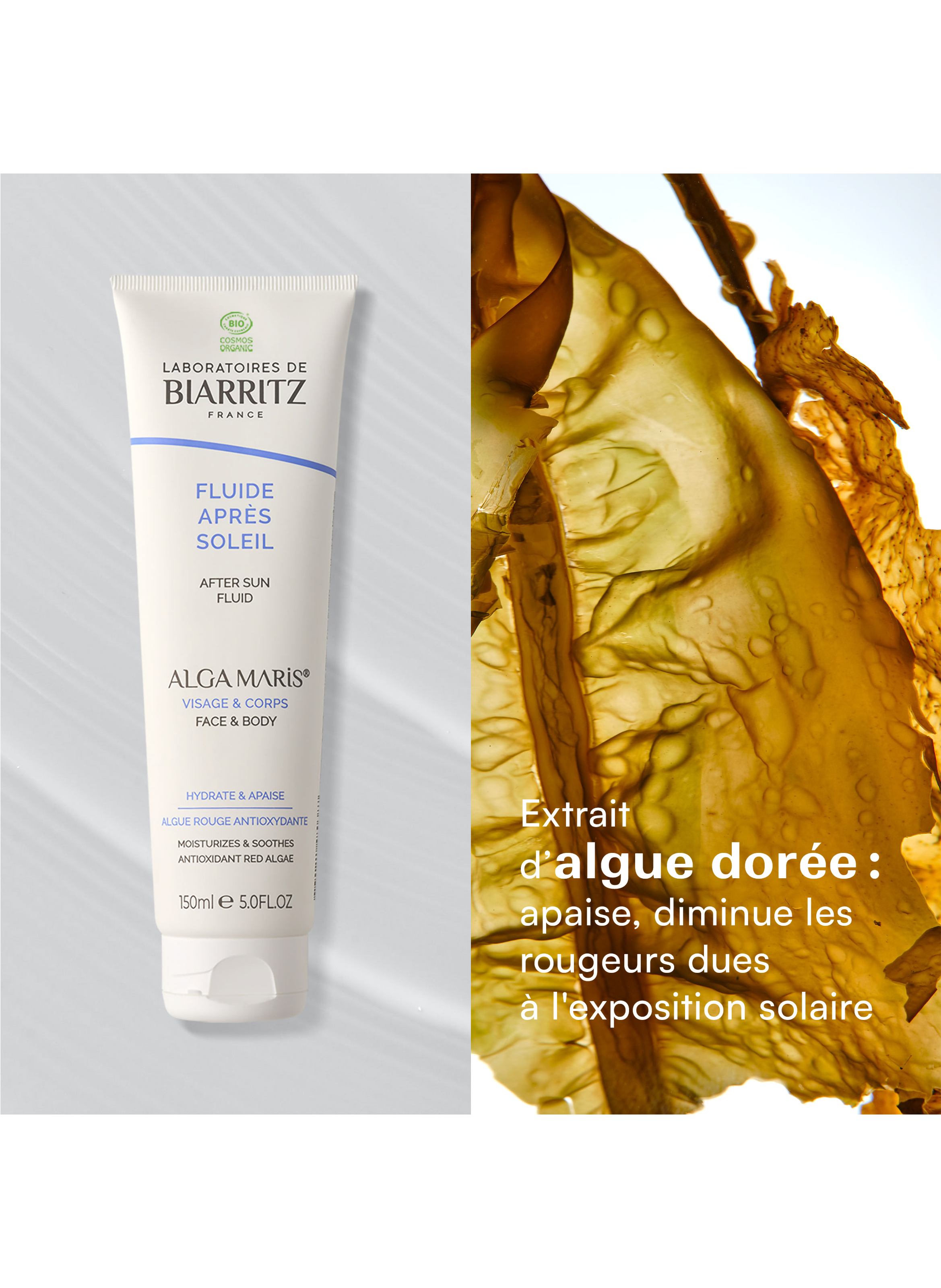Alga Maris After-Sun Fluid LABORATOIRES DE BIARRITZ No color