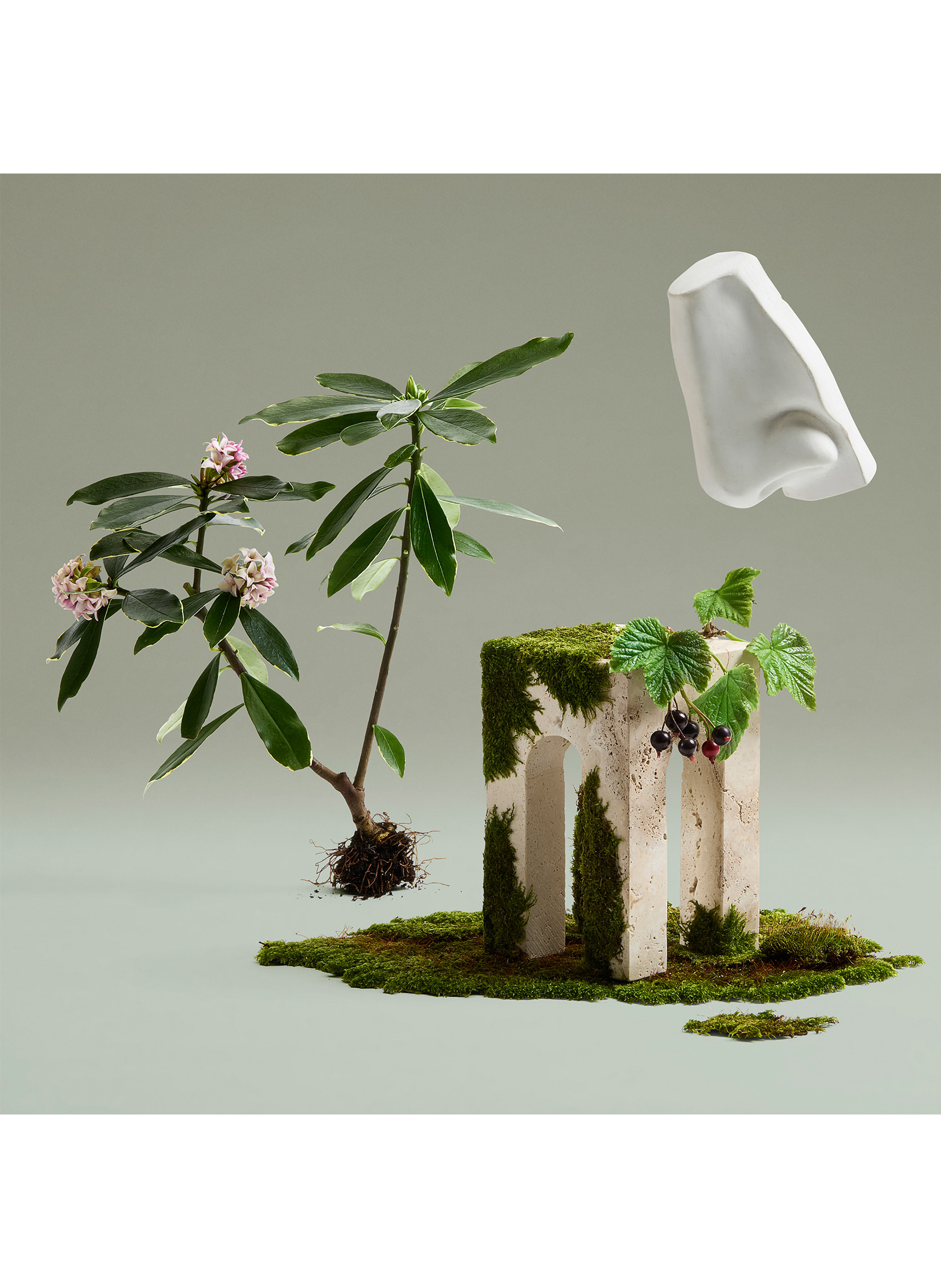 Daphne Bouquet - Eau de Parfum PENHALIGON'S No color