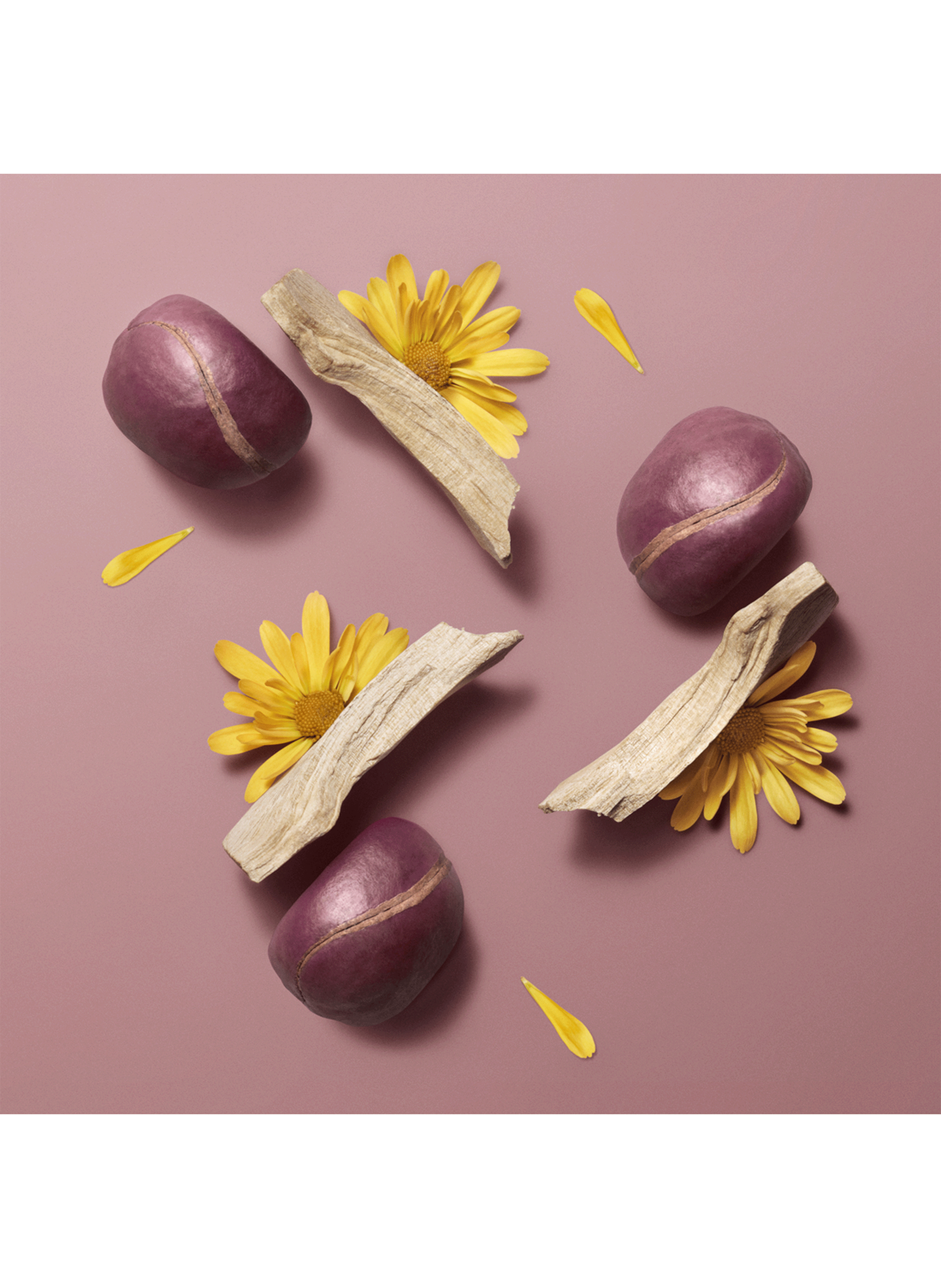 Hermèsistible infused lip care oil HERMÈS Rose kola