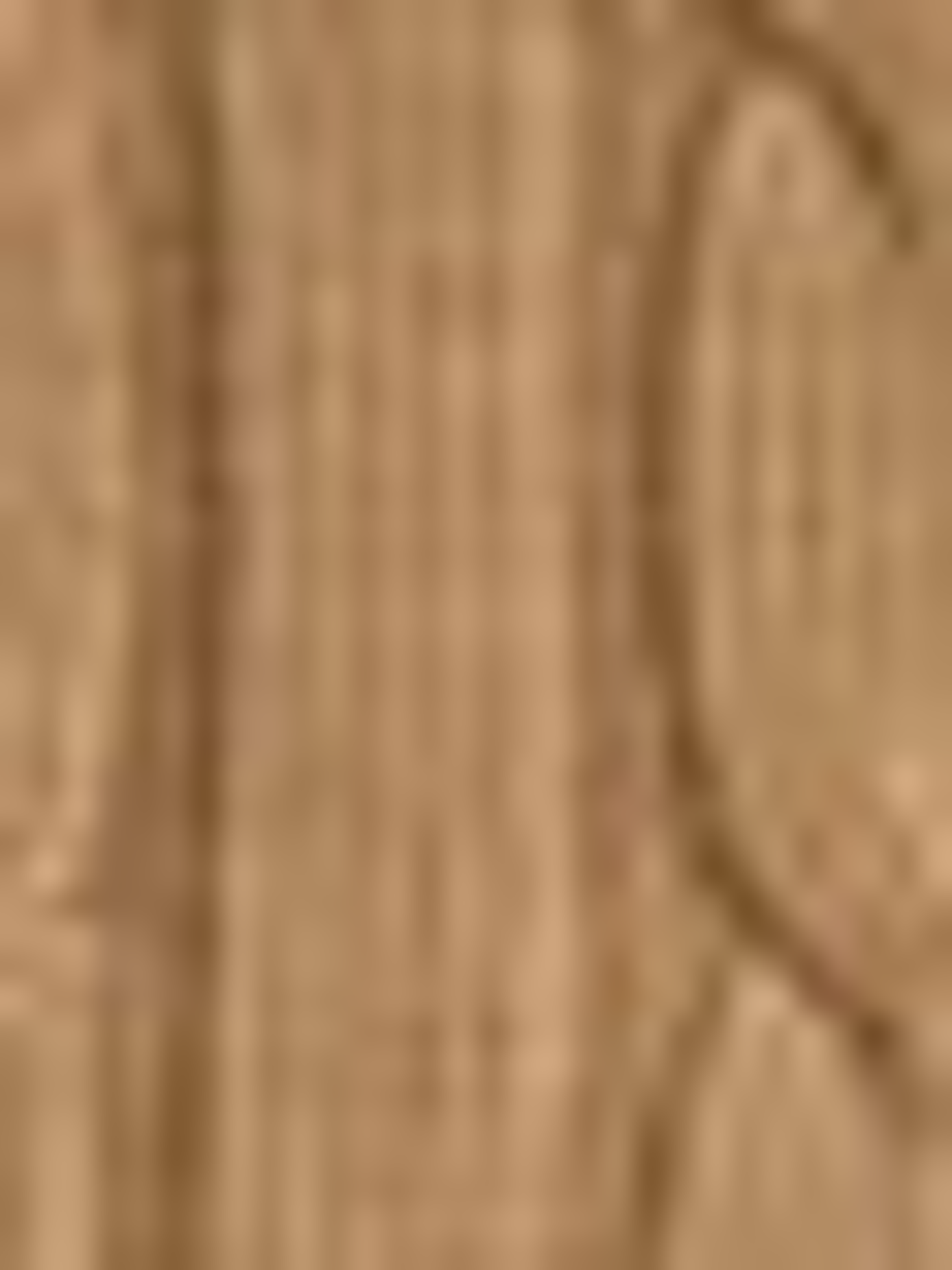 Cardigan with embroidered logo in twisted knit cotton. LAUREN Beige