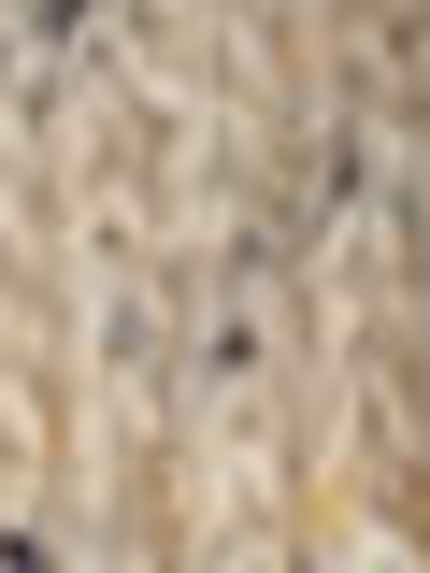 Printed blend wool beanie POLO RALPH LAUREN Beige