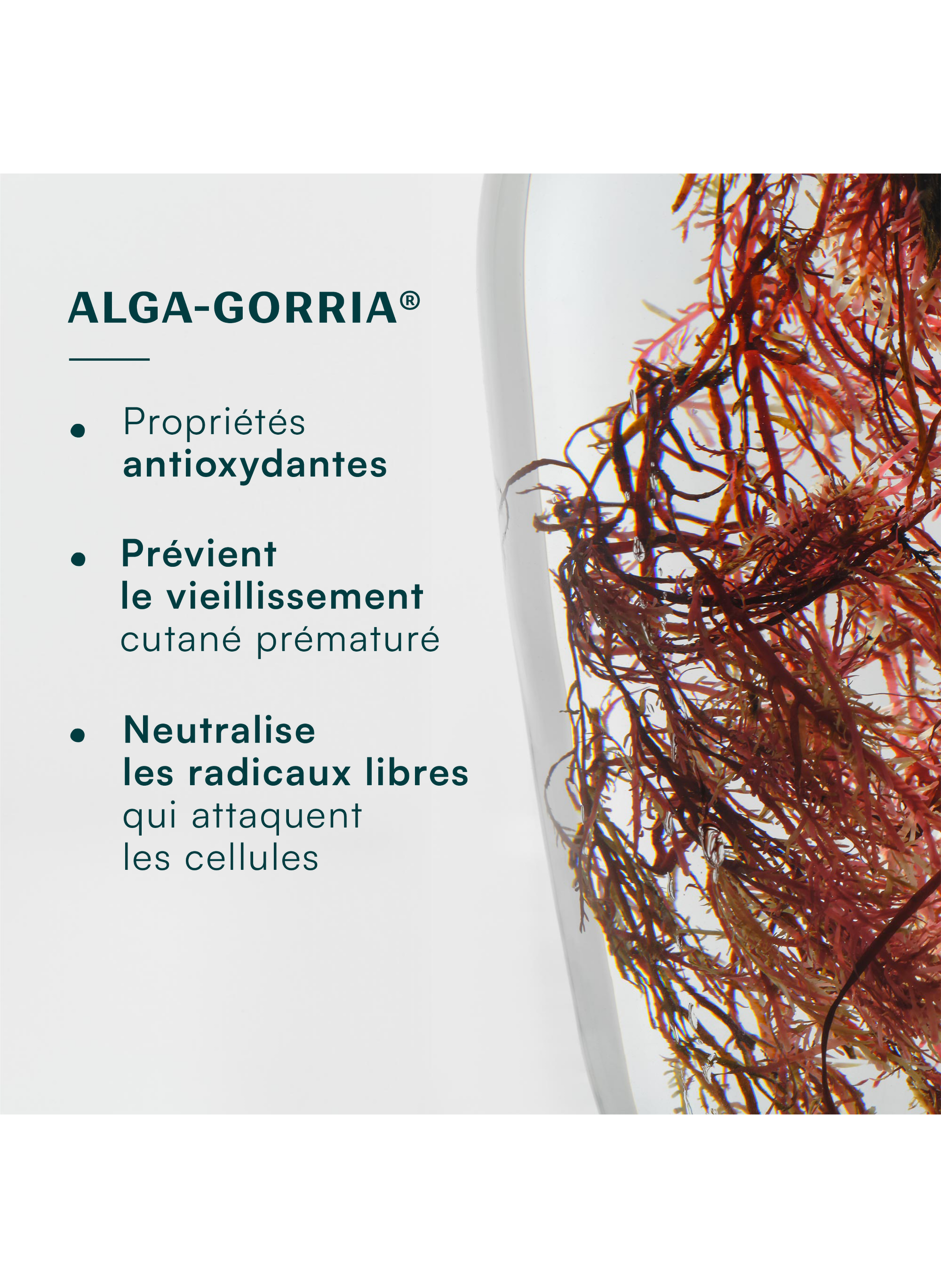 Alga Maris - SPF 30 Tinted Face Sun Cream - Golden LABORATOIRES DE BIARRITZ No color