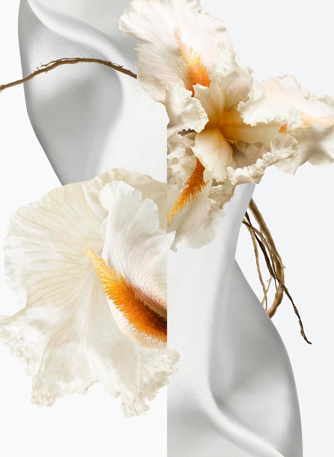 Musc Pallida - Eau de Parfum HERMÈS No color