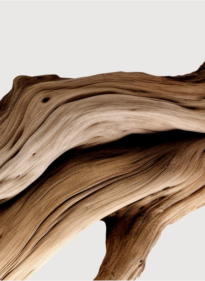 Australian Sandalwood - Extract MATIERE PREMIERE Australian Sandalwood - Extract MATIERE PREMIERE