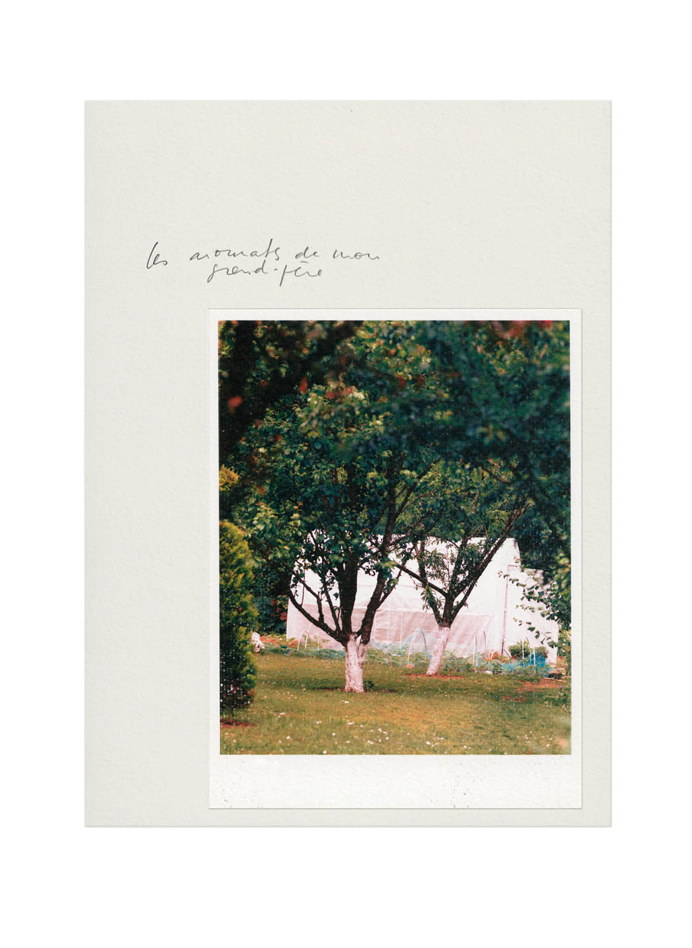 Porcelain candle 8m2 ORMAIE No color