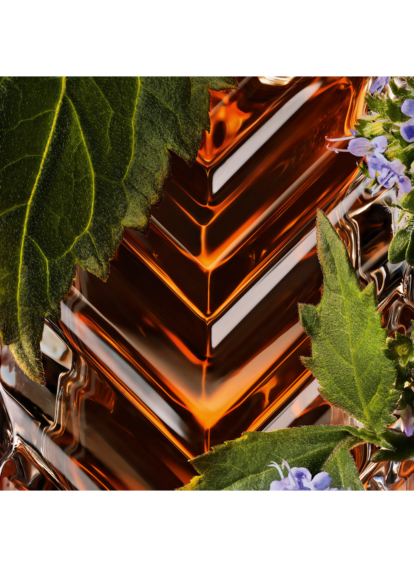 The Fragrance Wardrobe - Unisex Chypre Leather Perfume Extract YVES SAINT LAURENT No color