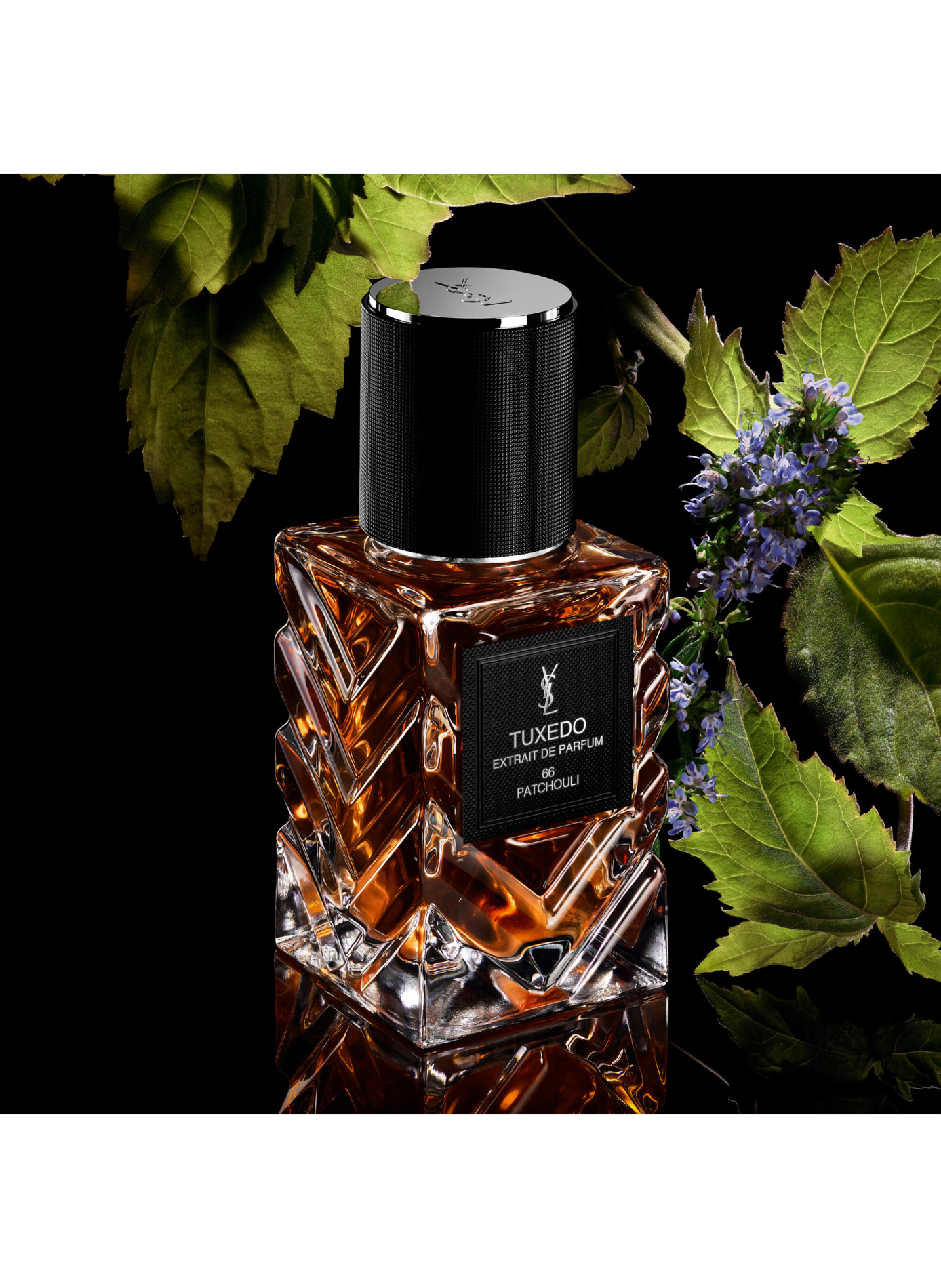 The Fragrance Wardrobe - Unisex Chypre Leather Perfume Extract YVES SAINT LAURENT No color