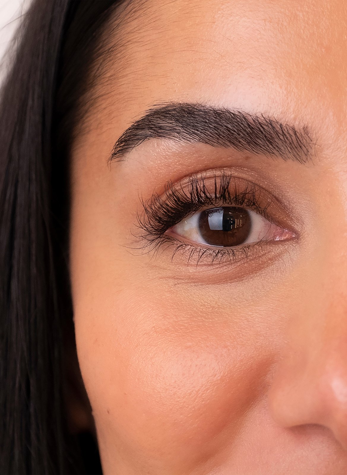 Le Sérum pour les Sourcils SWEED No color