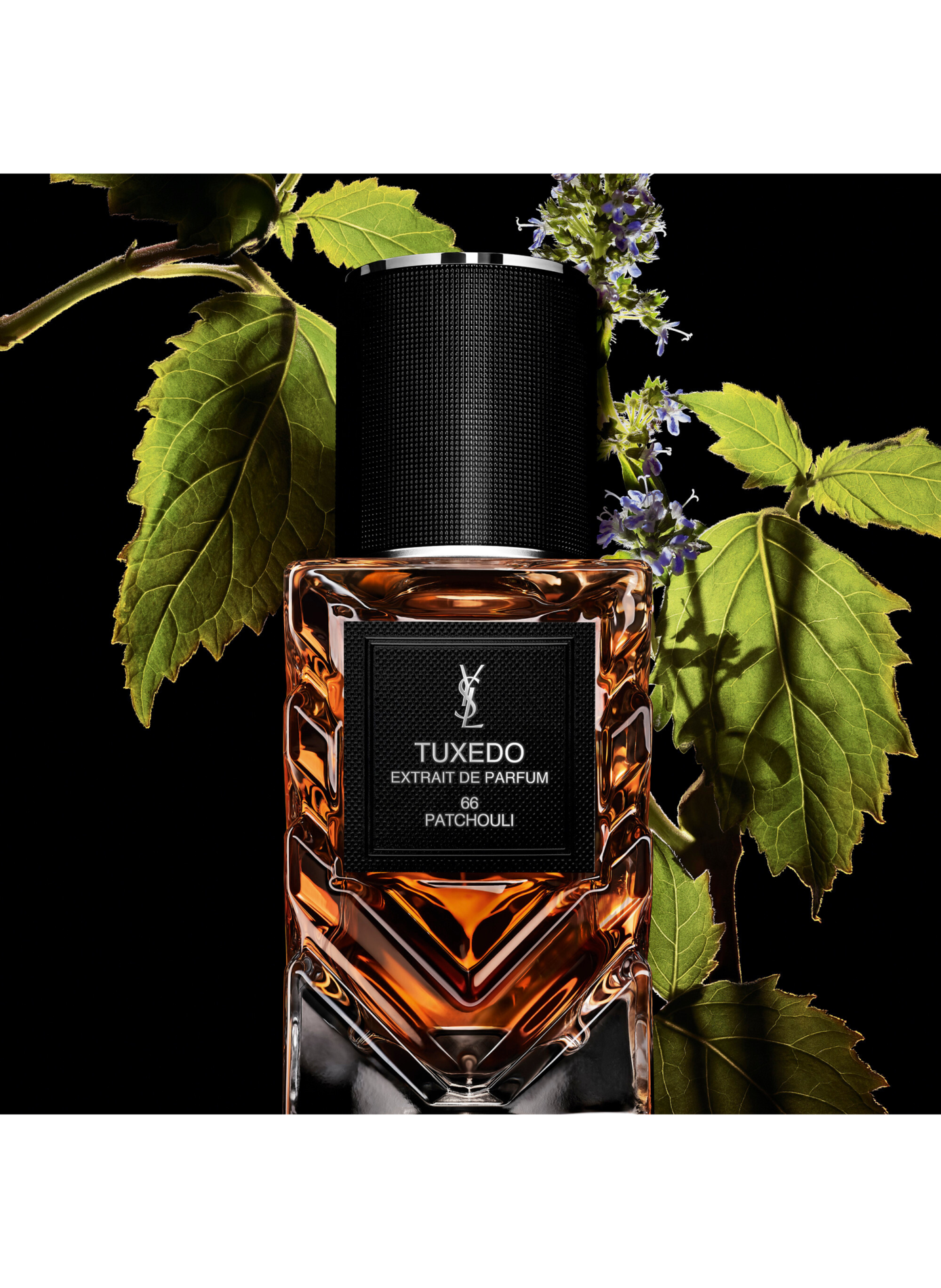 The Fragrance Wardrobe - Unisex Chypre Leather Perfume Extract YVES SAINT LAURENT No color