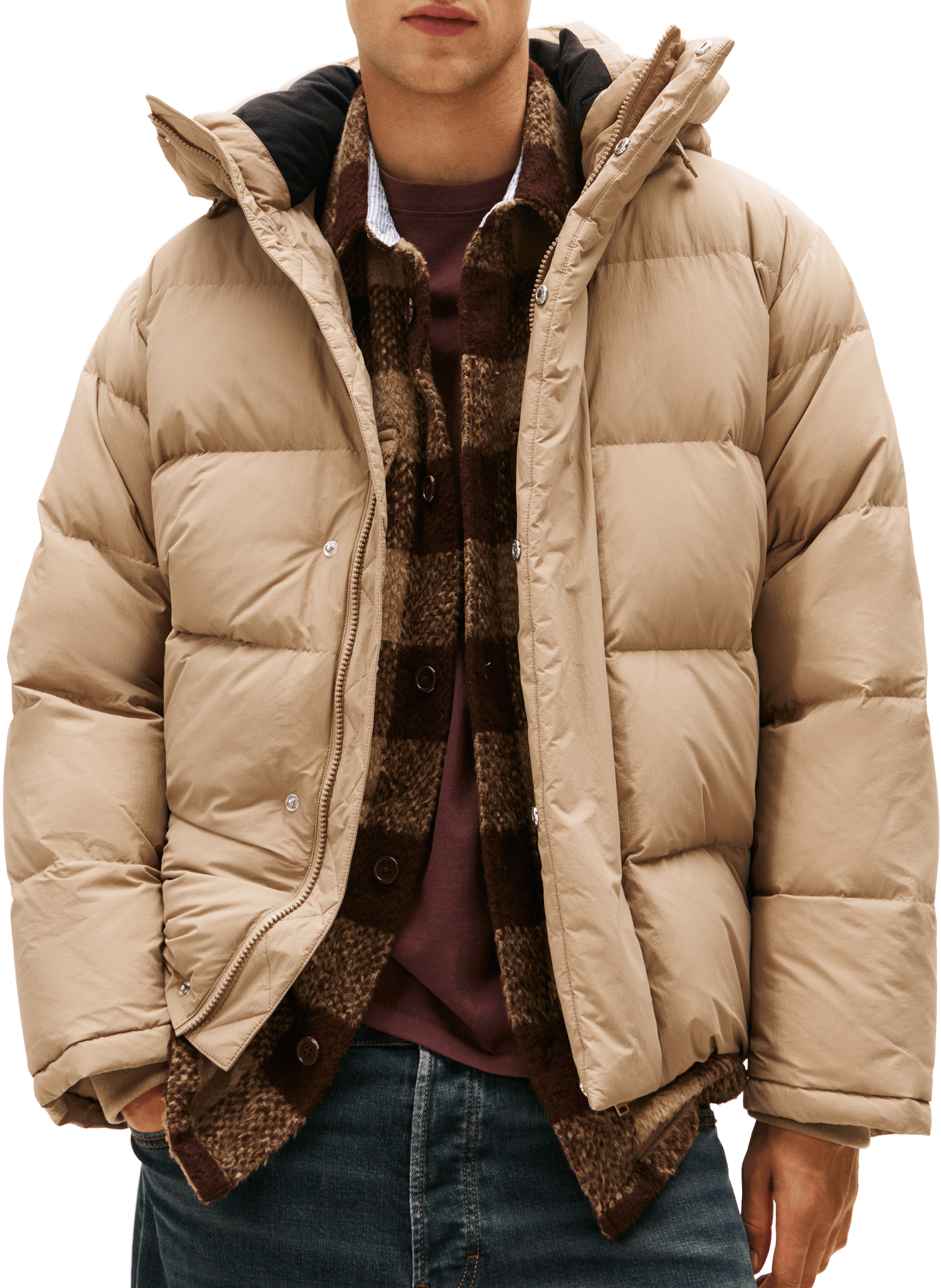 TOMMY HILFIGER Doudoune à col montant Beige